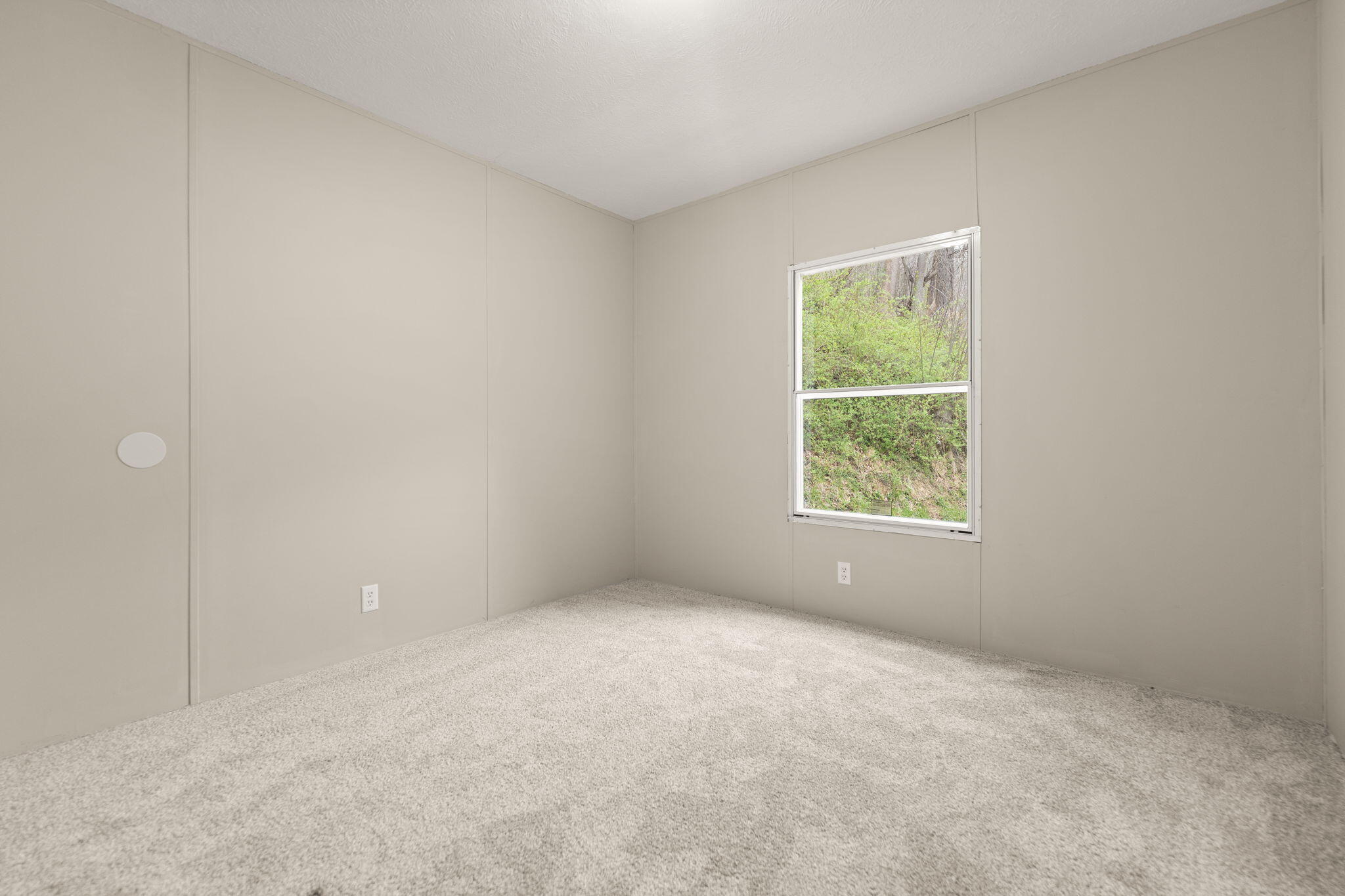183 Pine Br Road Property Photo 37