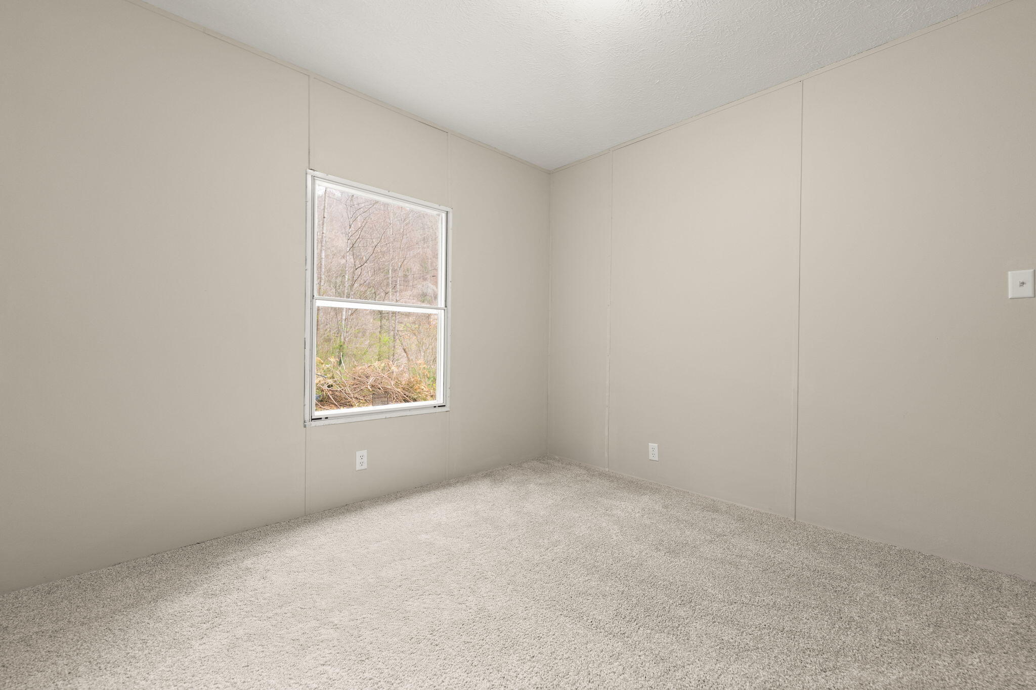 183 Pine Br Road Property Photo 38