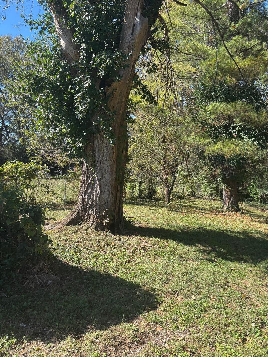 106 Bender Drive Property Photo 40