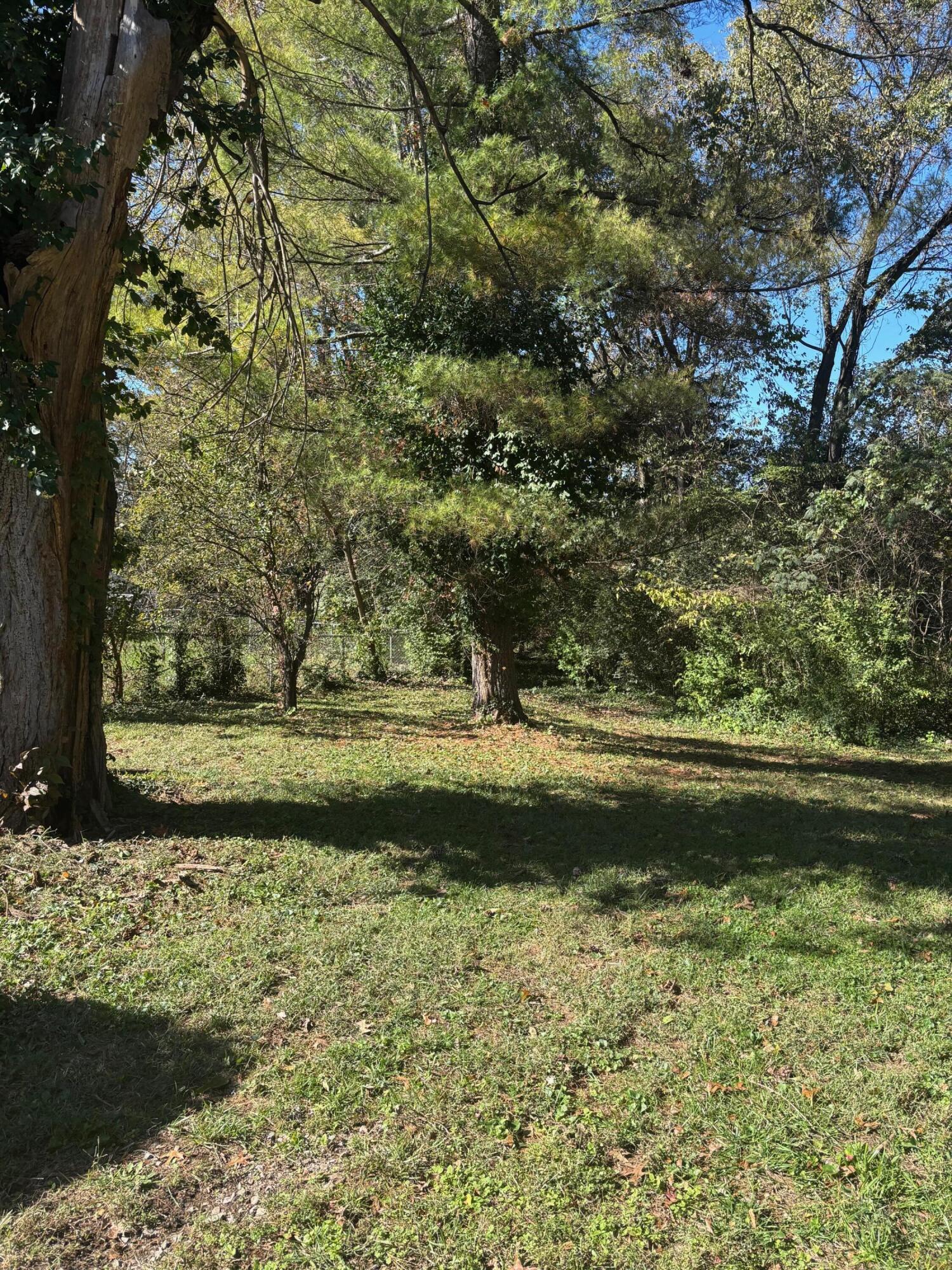 106 Bender Drive Property Photo 46
