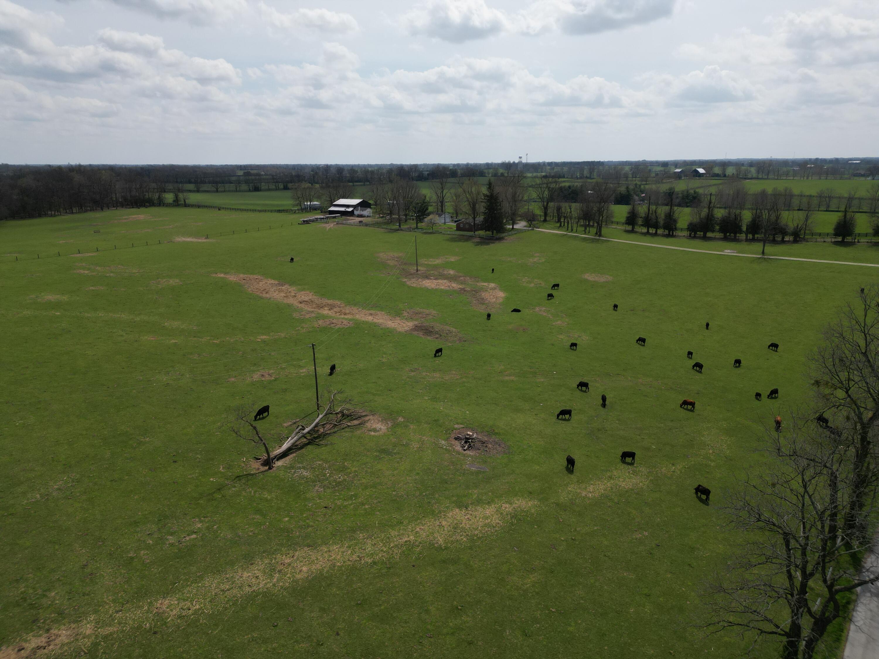 1116 Hedden Road Property Photo 8