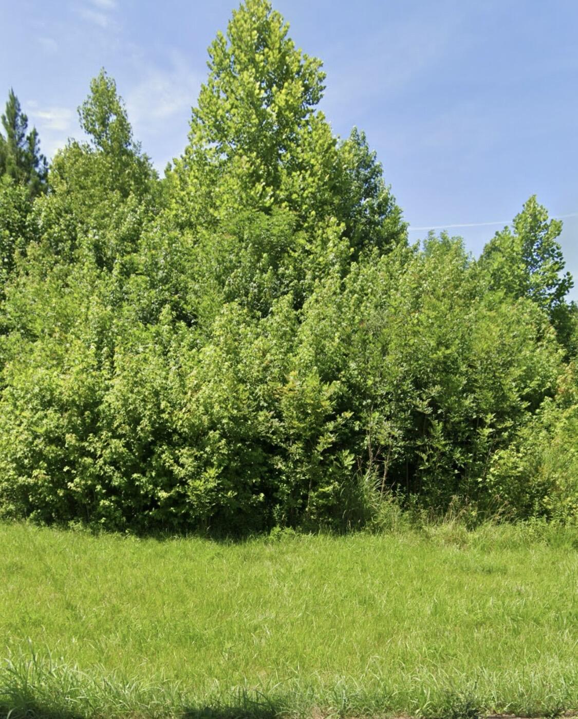 717 Highway 441 Property Photo 3