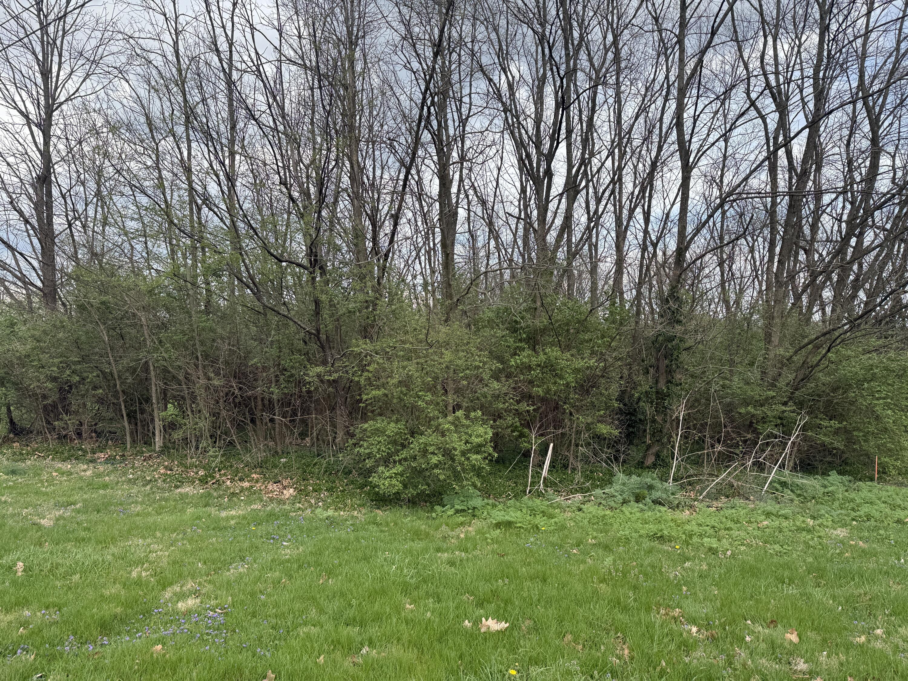 1051 Bethlehem Road Property Photo 23
