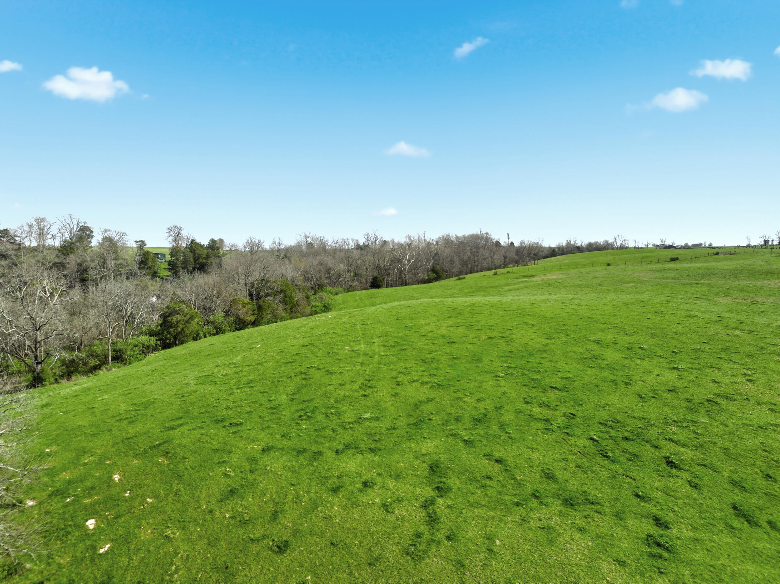 279 Dossett Lane Property Photo 44