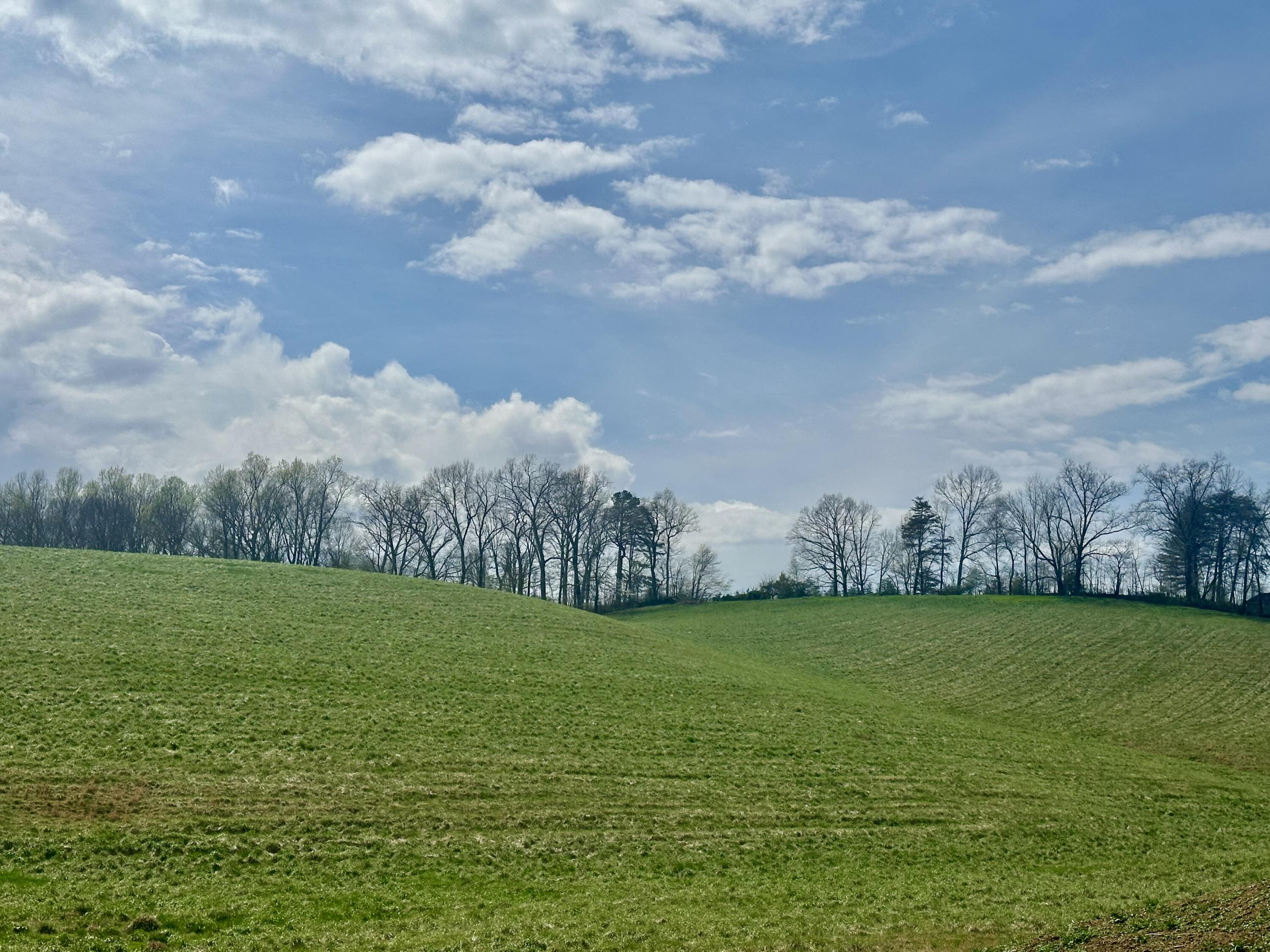 133 Jaguar Way Property Photo 11