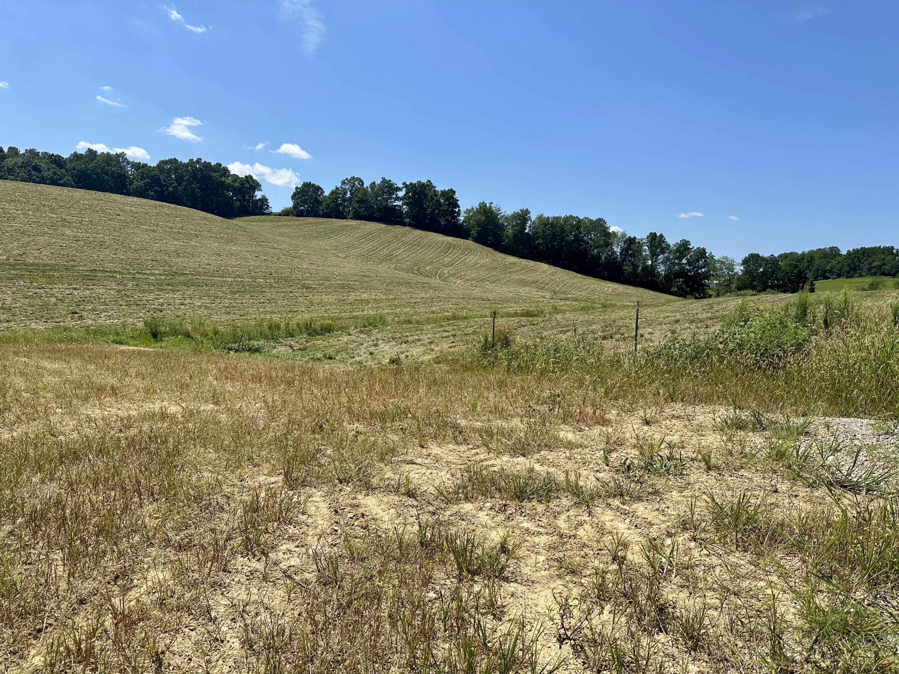 133 Jaguar Way Property Photo 19