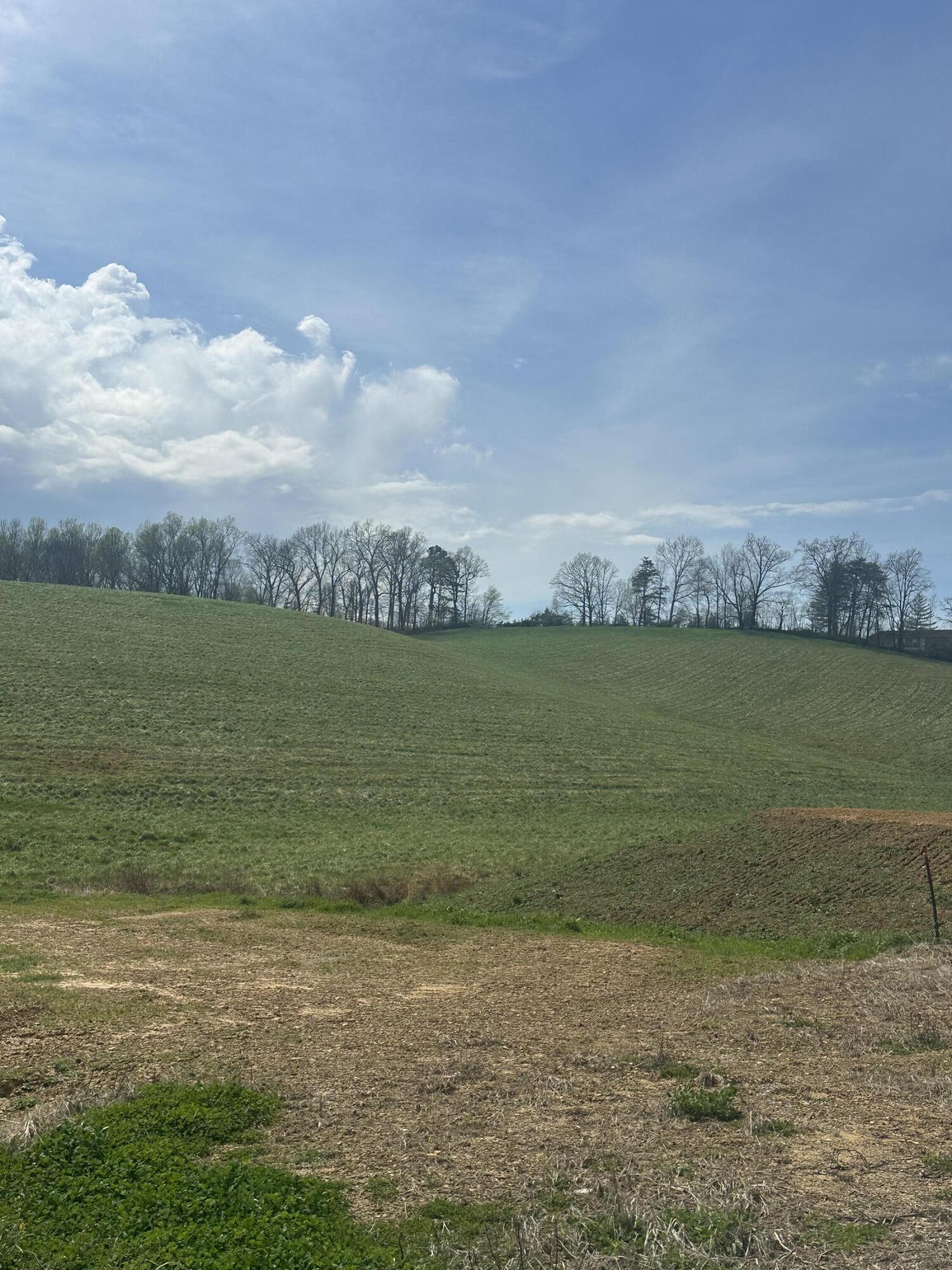 133 Jaguar Way Property Photo 33