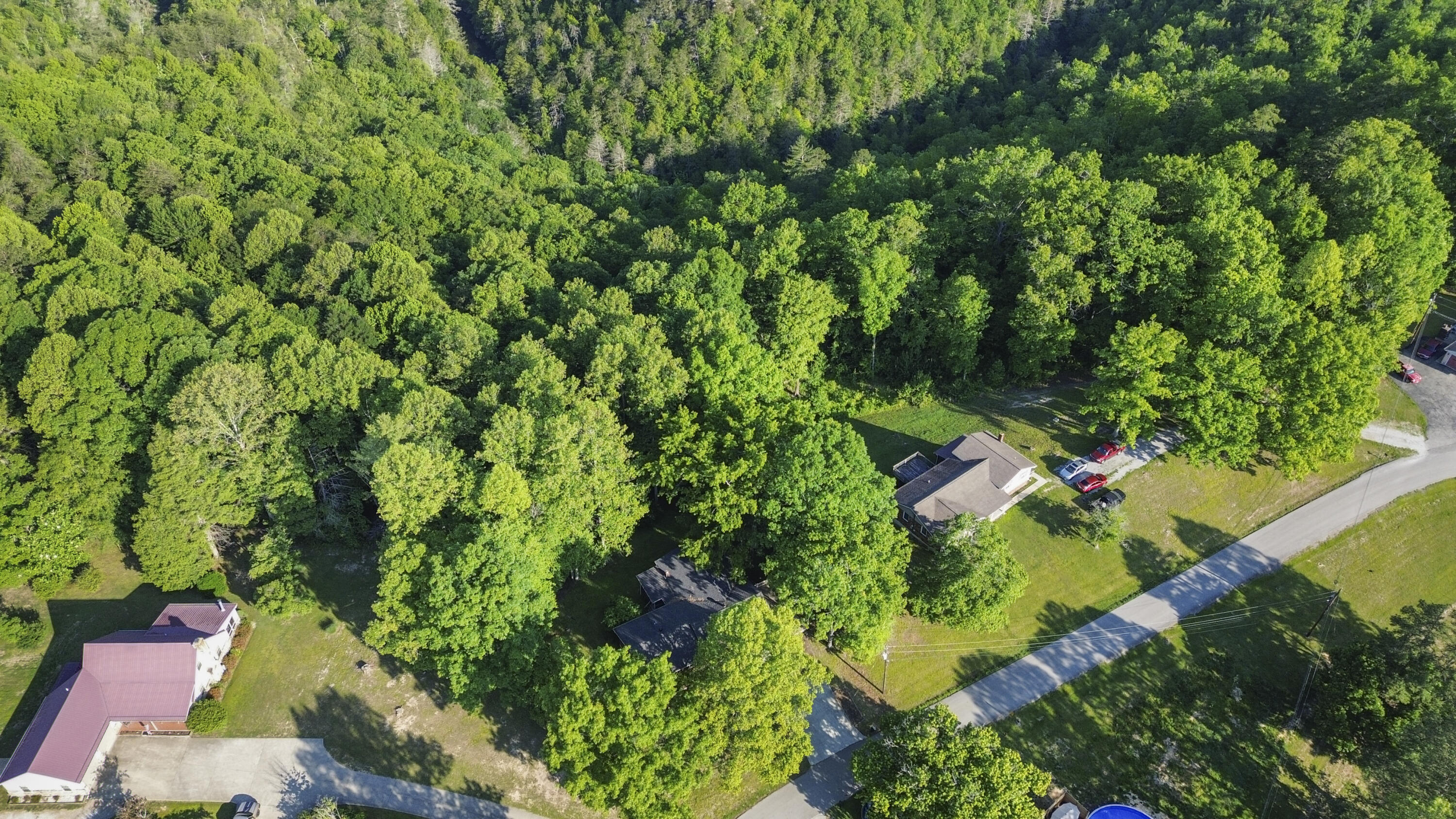 648 Murphy Subdivision Road Property Photo 29