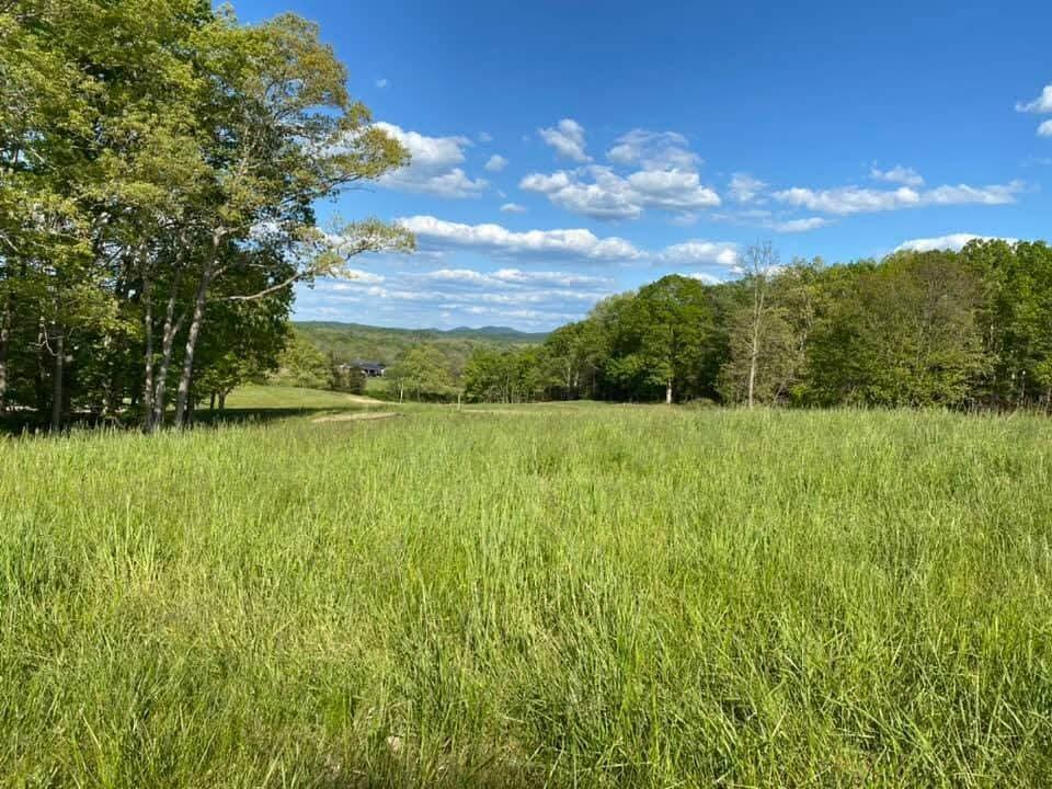 150 Spencer Lane Property Photo 3