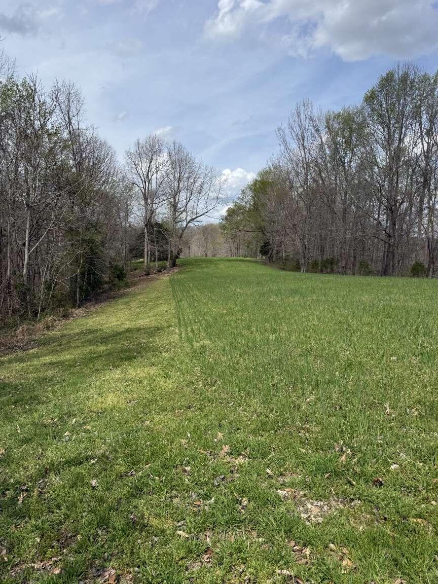 5483 Subtle Road Property Photo 2