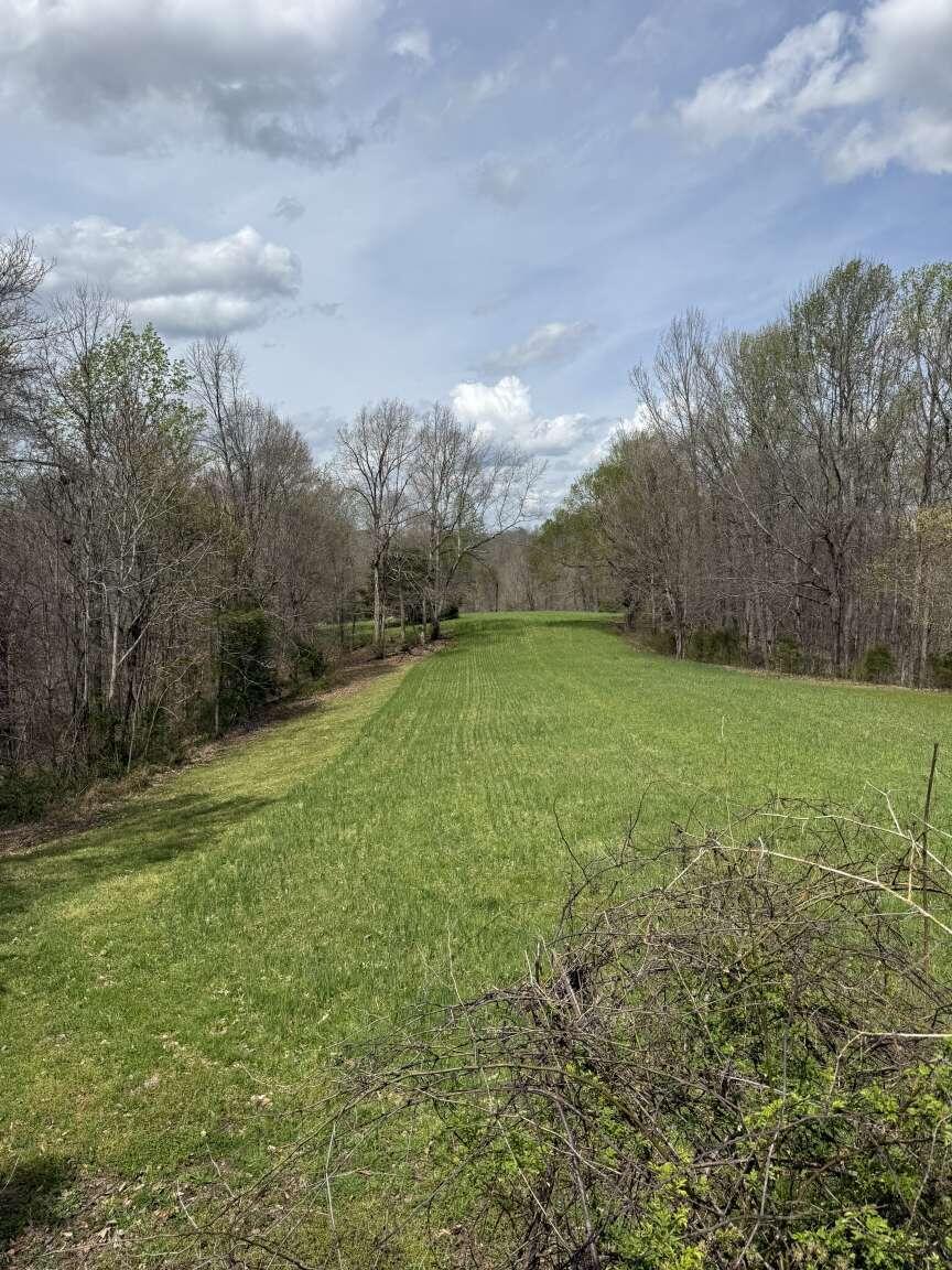 5483 Subtle Road Property Photo 6