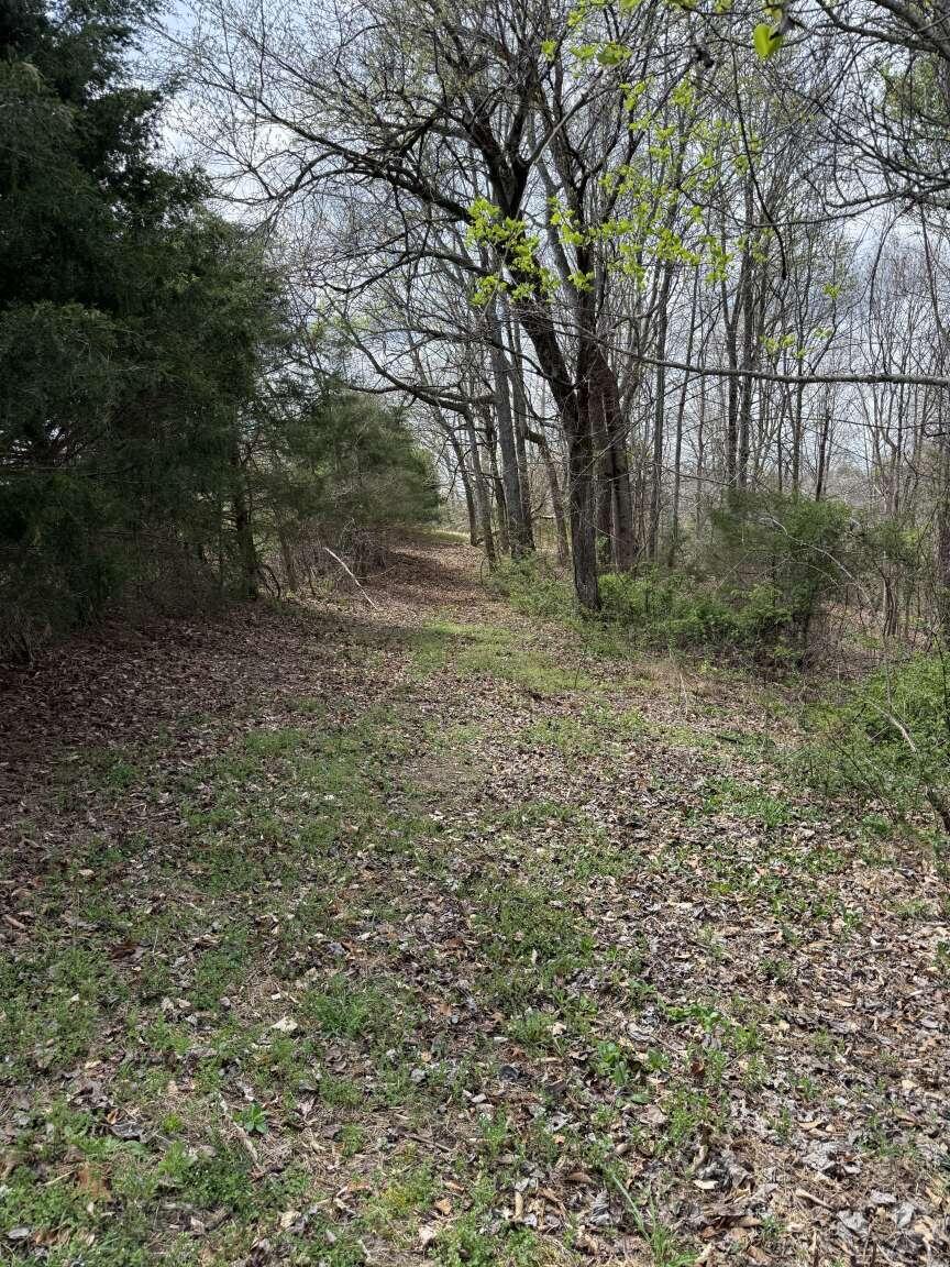5483 Subtle Road Property Photo 9