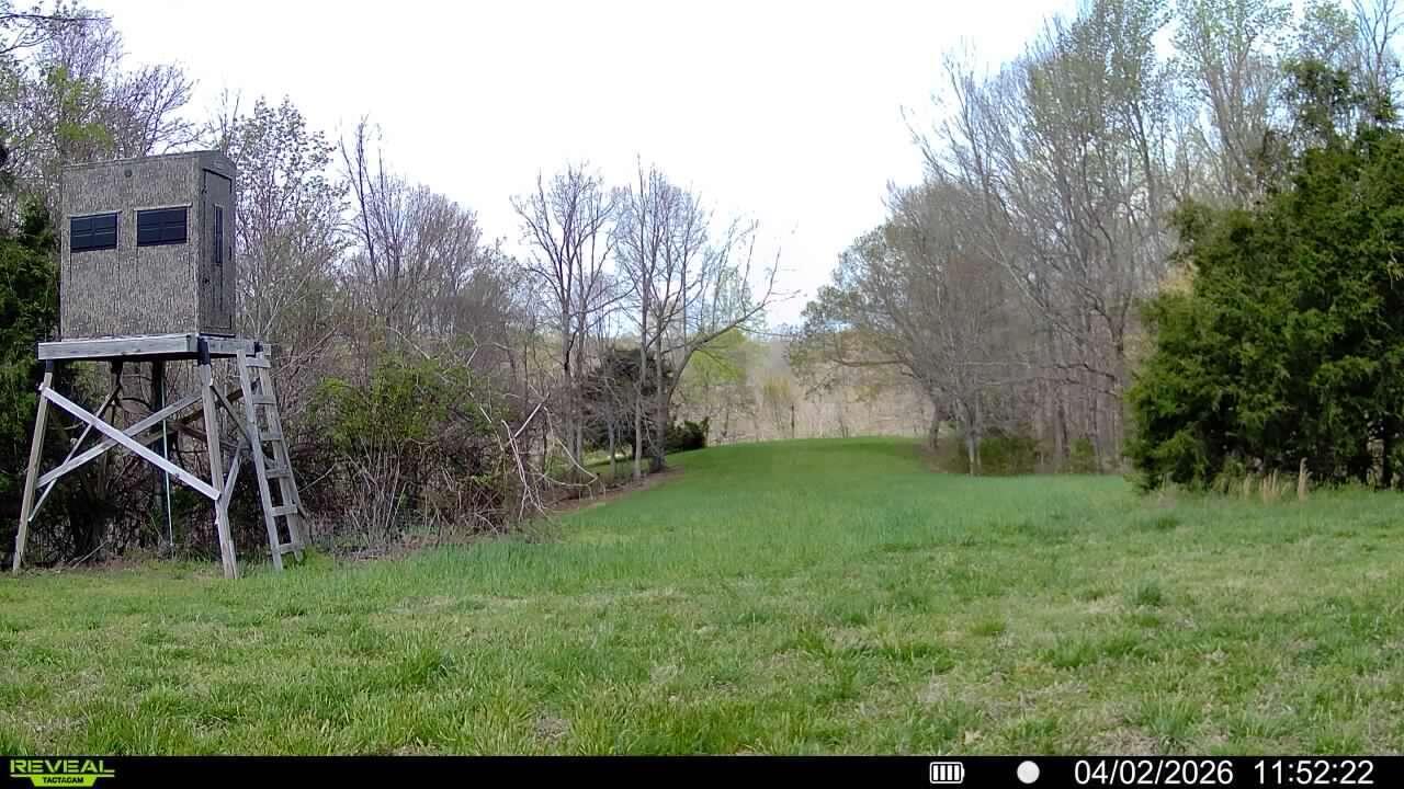 5483 Subtle Road Property Photo 12