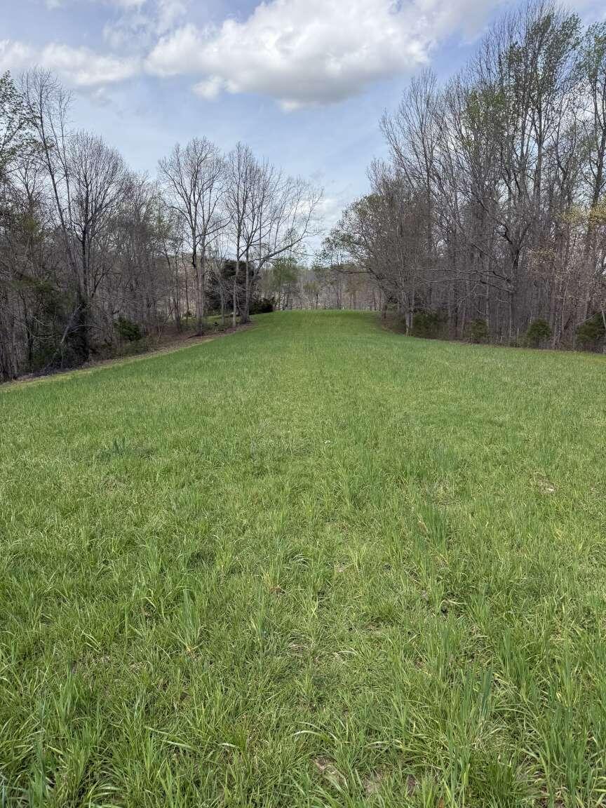 5483 Subtle Road Property Photo 13