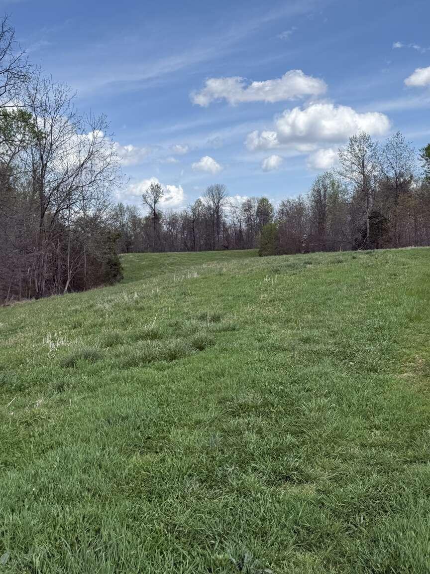 5483 Subtle Road Property Photo 22