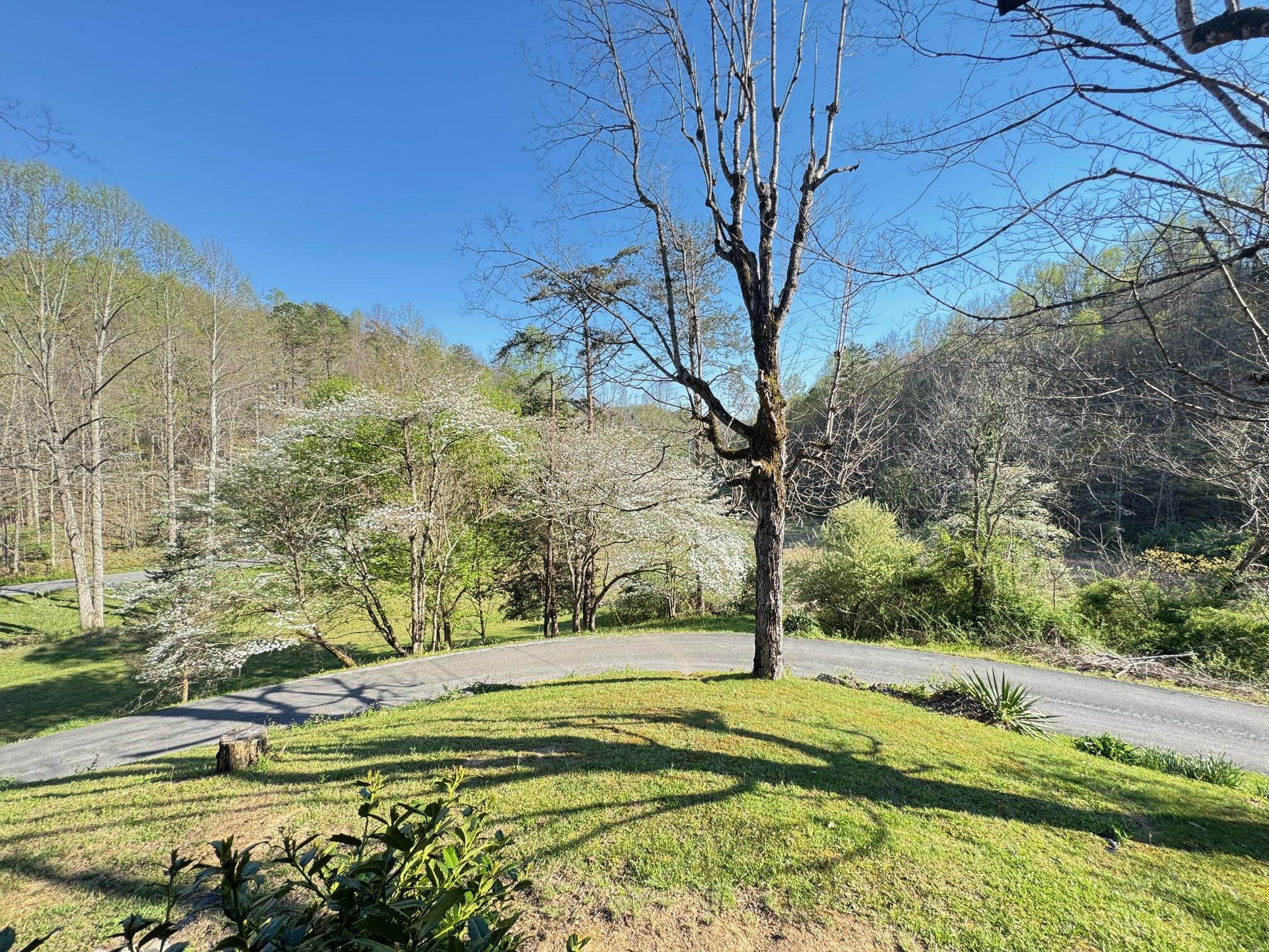 885 Mcneil-corn Creek Road Property Photo 37