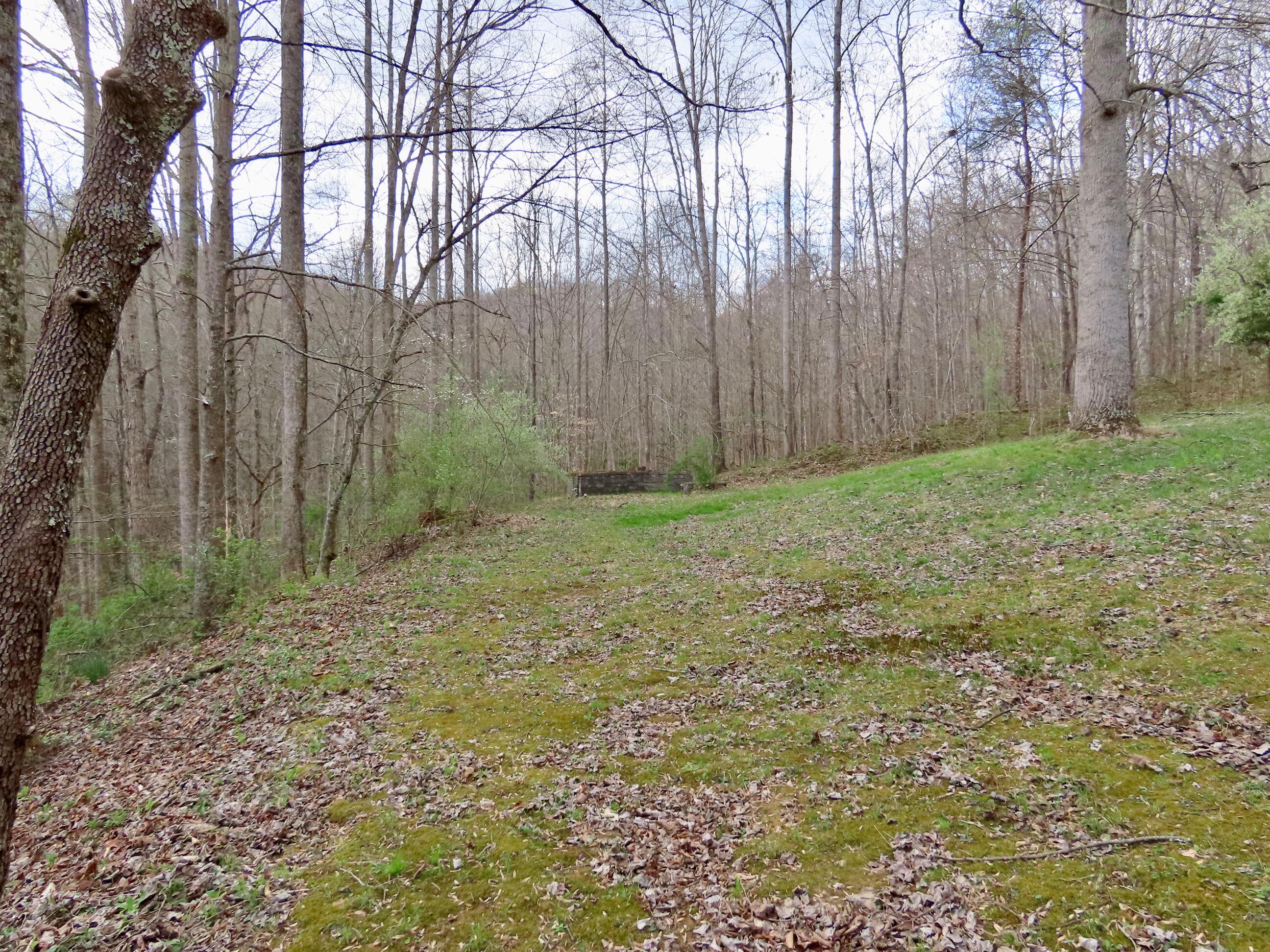 885 Mcneil-corn Creek Road Property Photo 45
