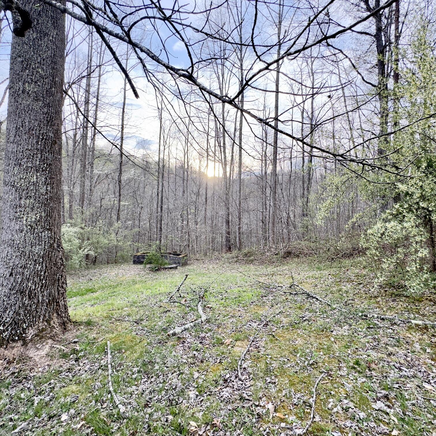885 Mcneil-corn Creek Road Property Photo 46