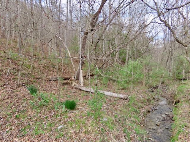 885 Mcneil-corn Creek Road Property Photo 87