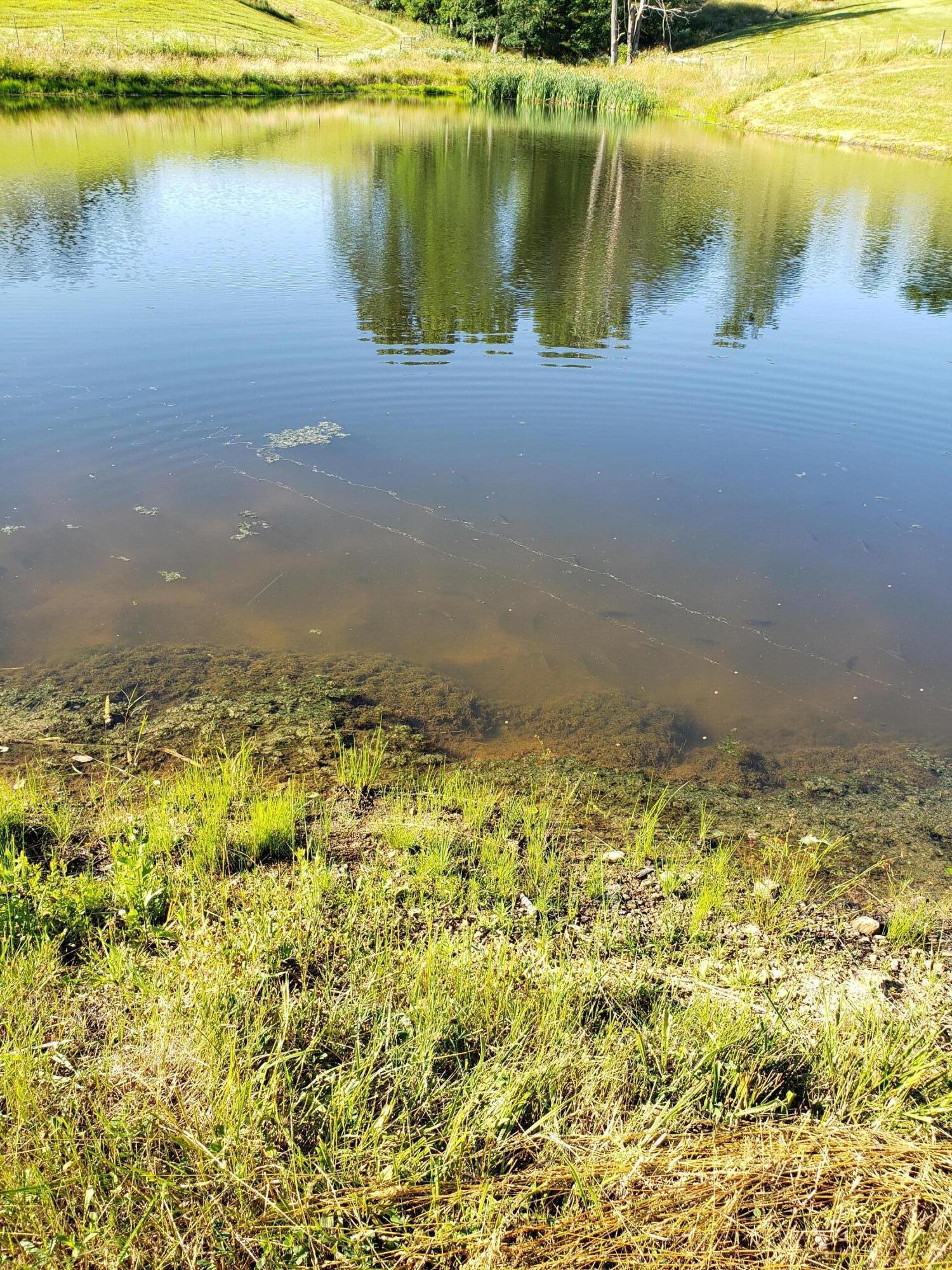 Lot 2 2405 Kendrick Ridge Road Property Photo 3