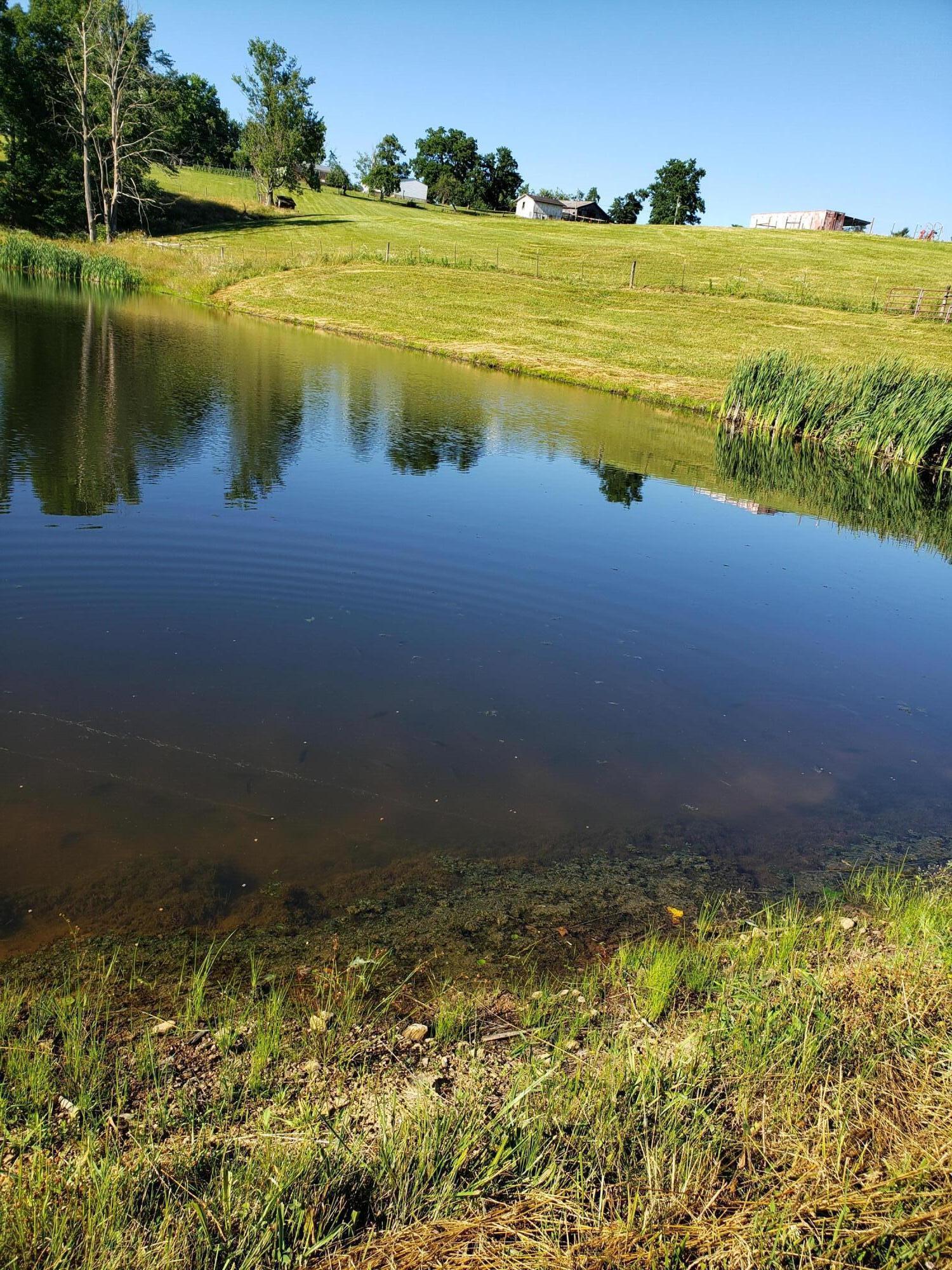 Lot 2 2405 Kendrick Ridge Road Property Photo 4