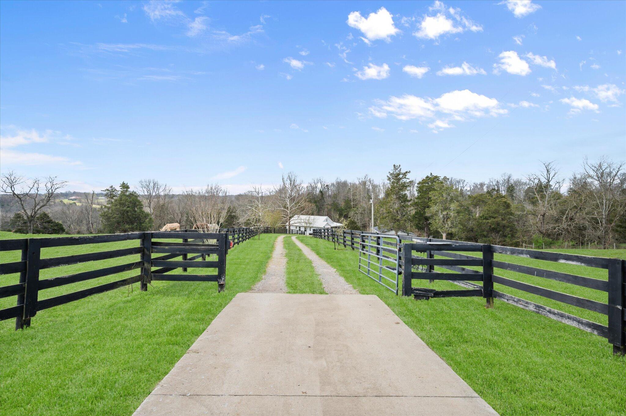 9787 Elmburg Road Property Photo 3