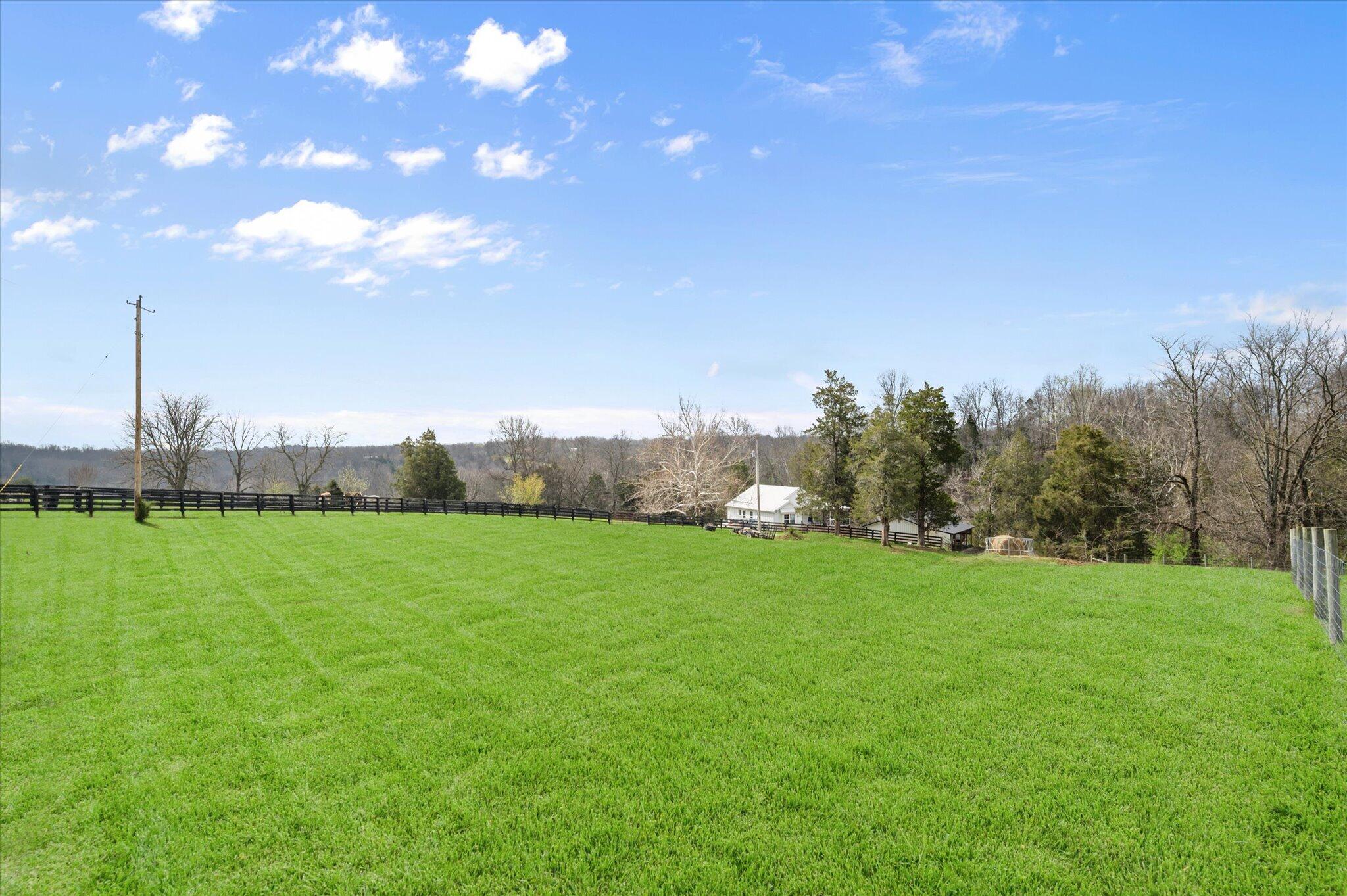 9787 Elmburg Road Property Photo 4