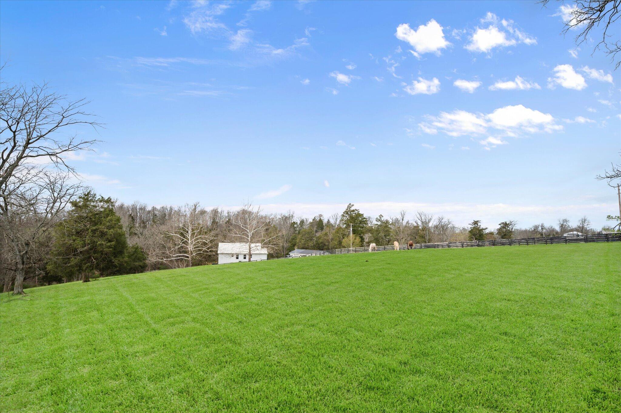 9787 Elmburg Road Property Photo 6