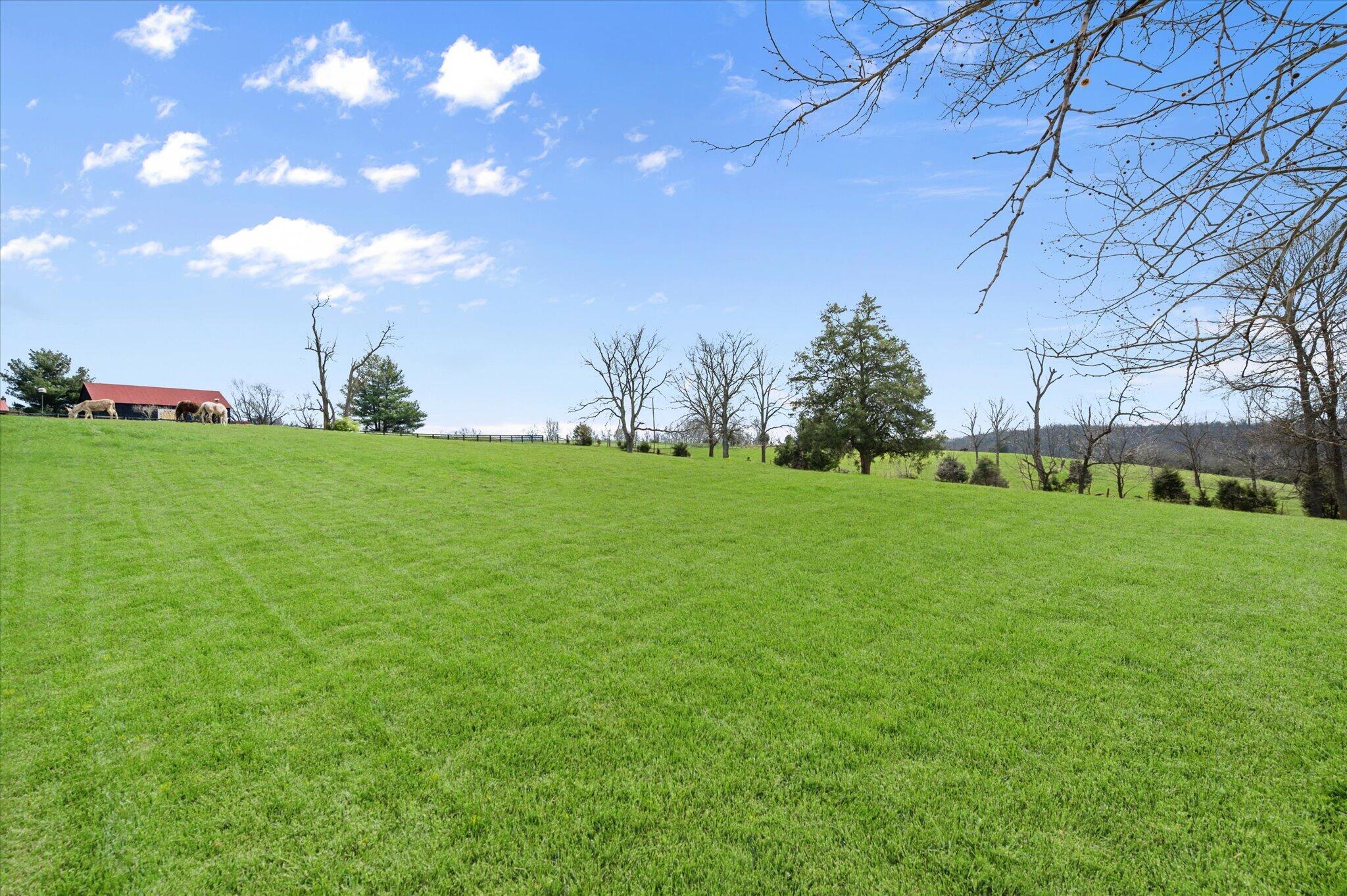 9787 Elmburg Road Property Photo 8