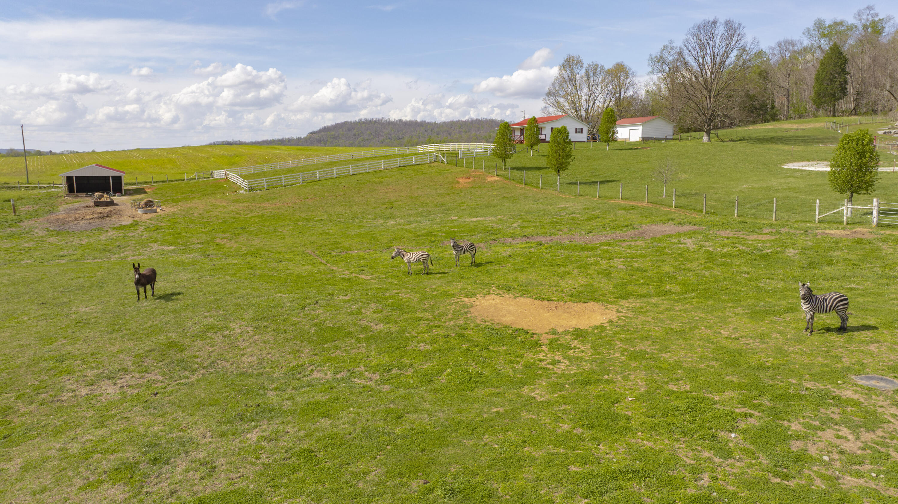 2301 Kentucky 92 Property Photo 47