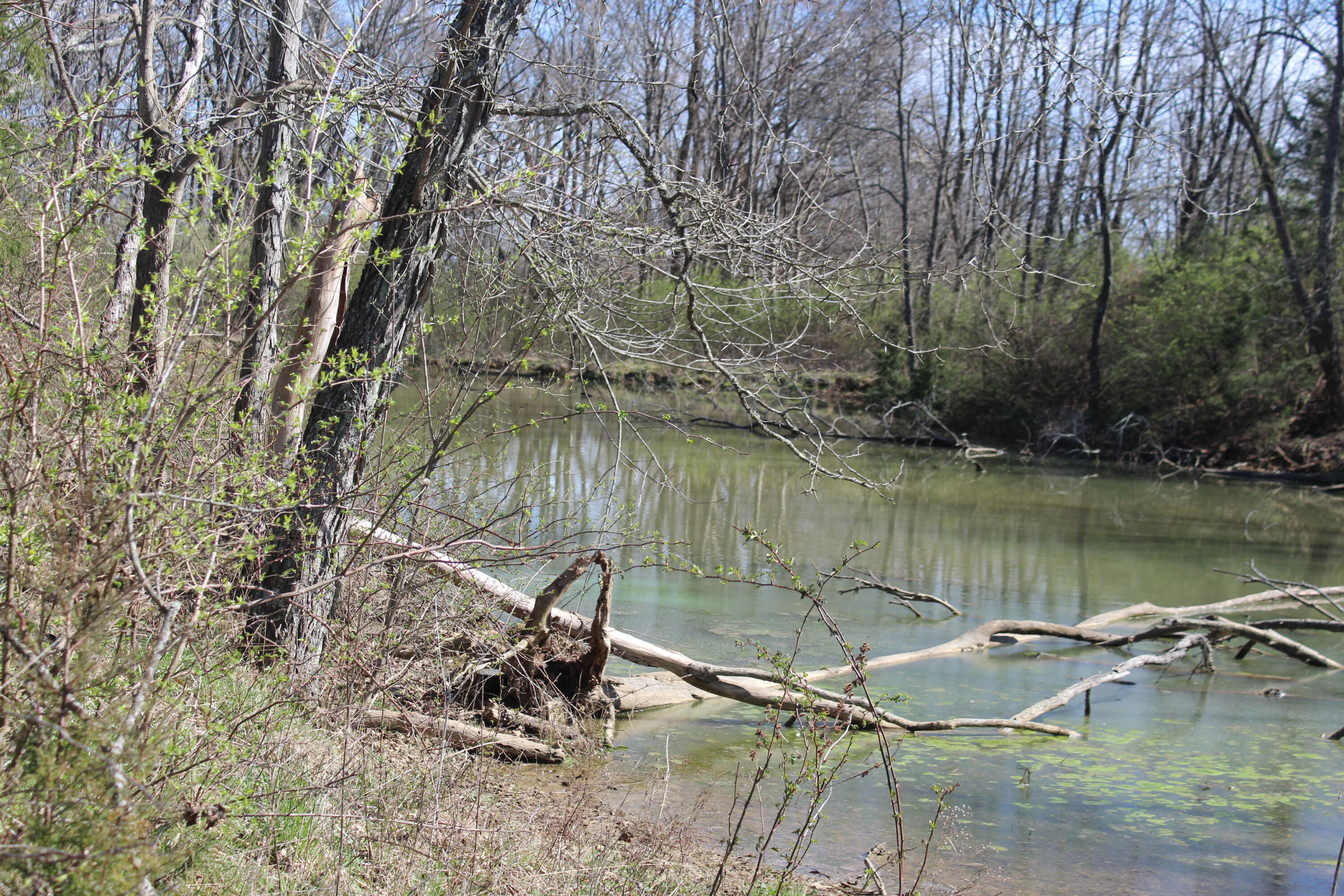 1802 Poindexter Road Property Photo 4
