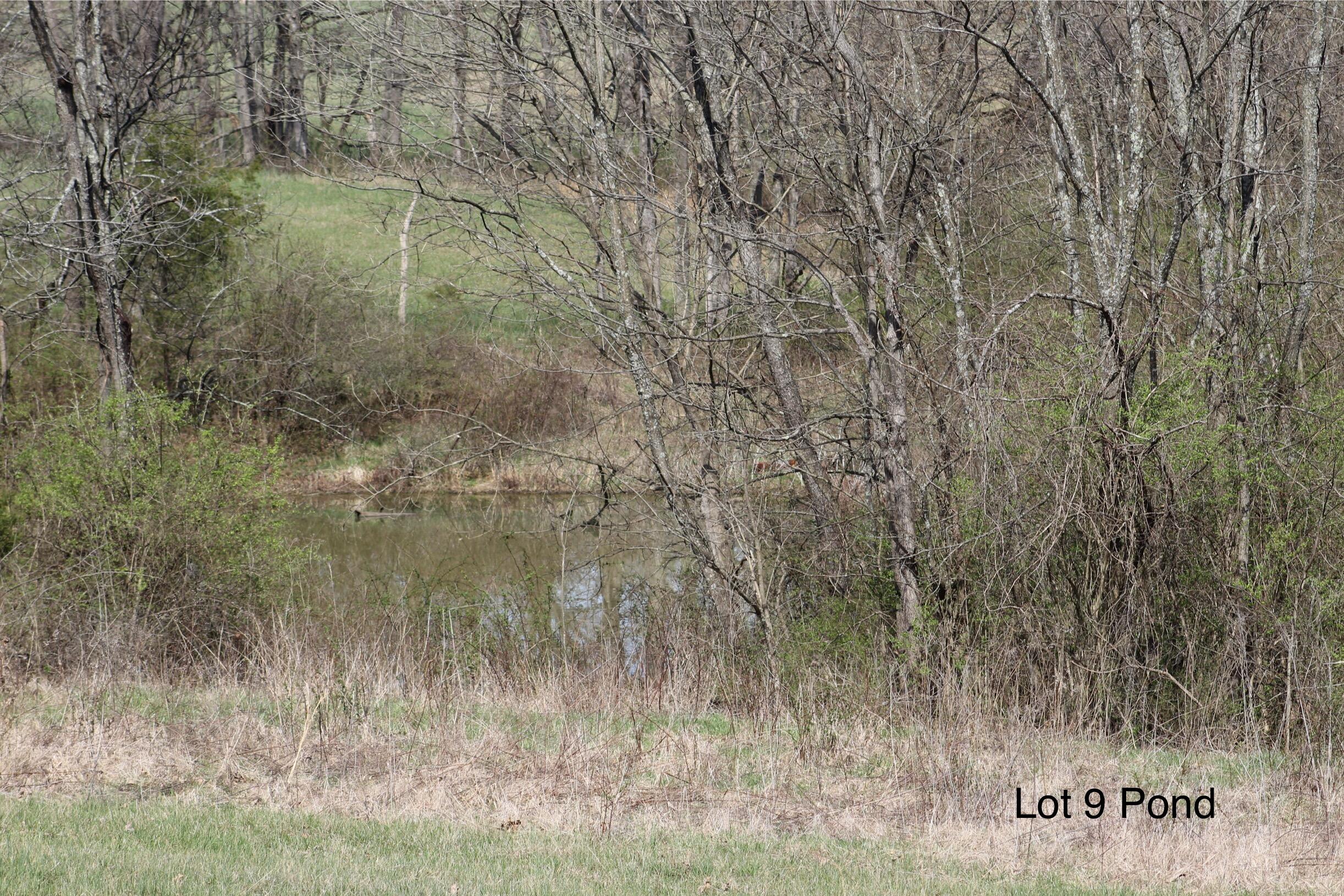 1802 Poindexter Road Property Photo 9