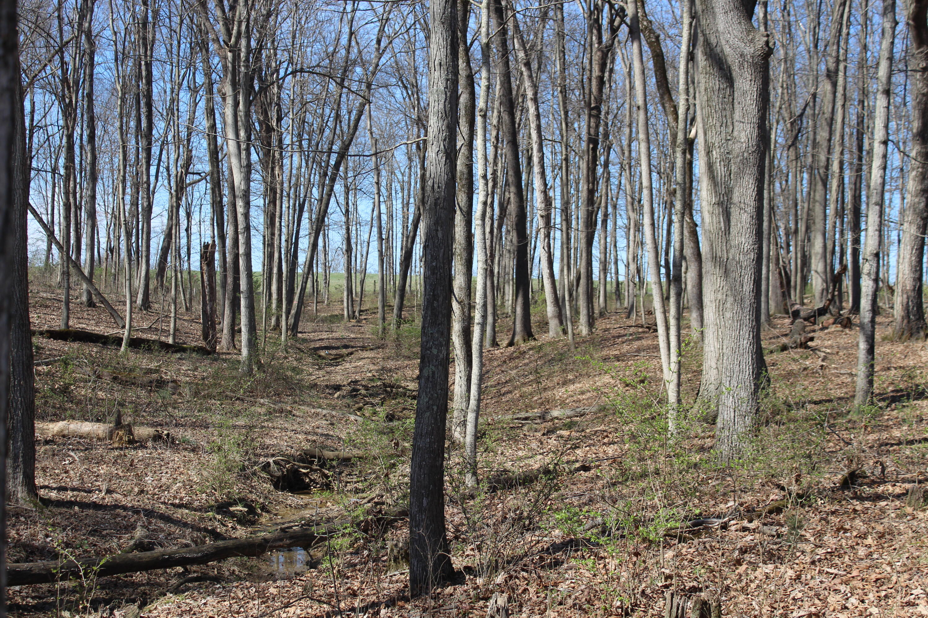 1694 Poindexter Road Property Photo 4