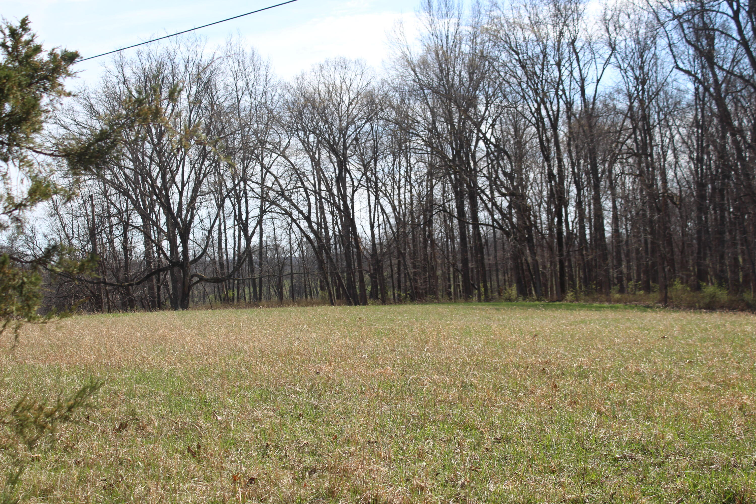 1600 Poindexter Road Property Photo 6