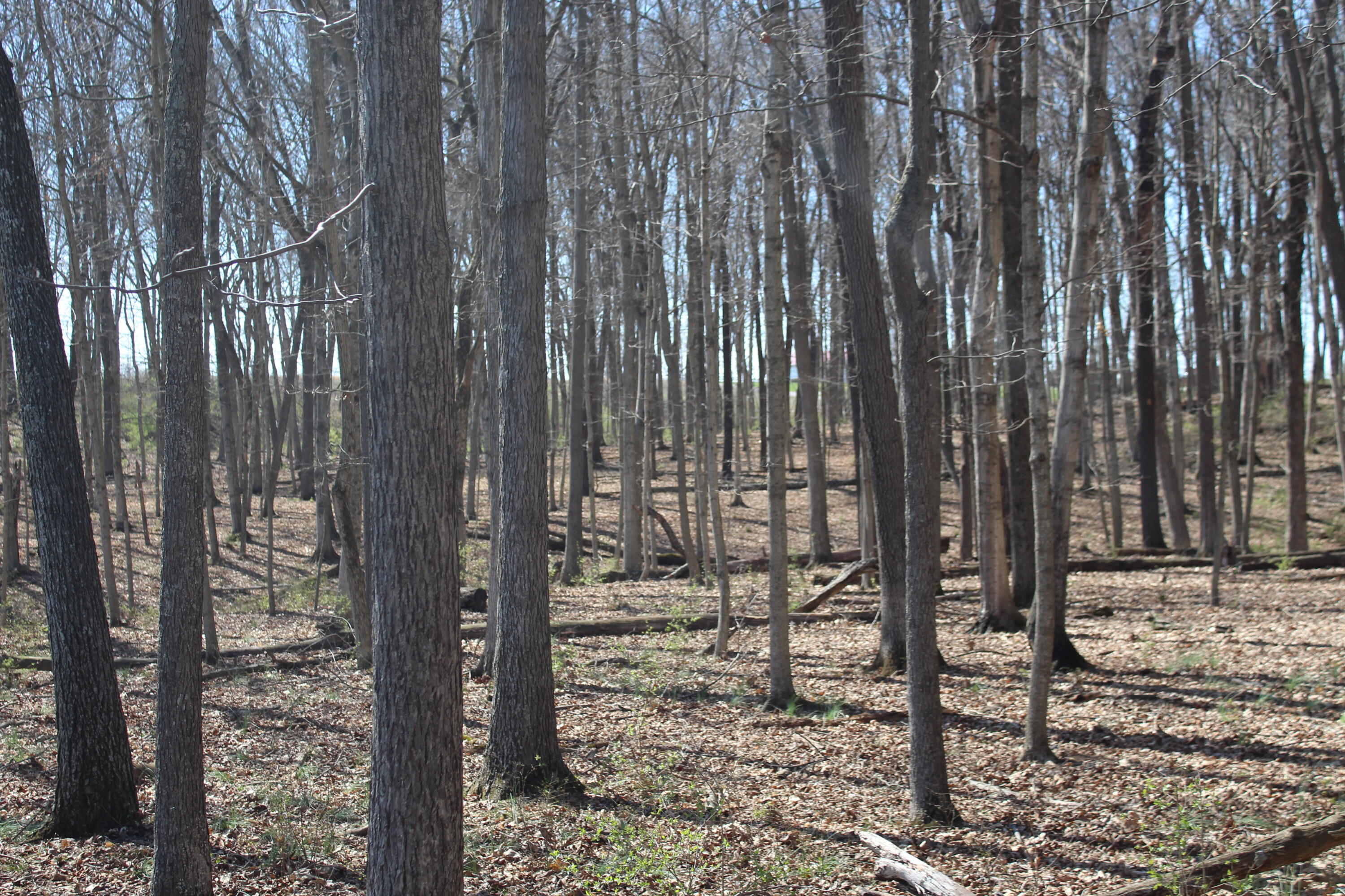 1600 Poindexter Road Property Photo 7