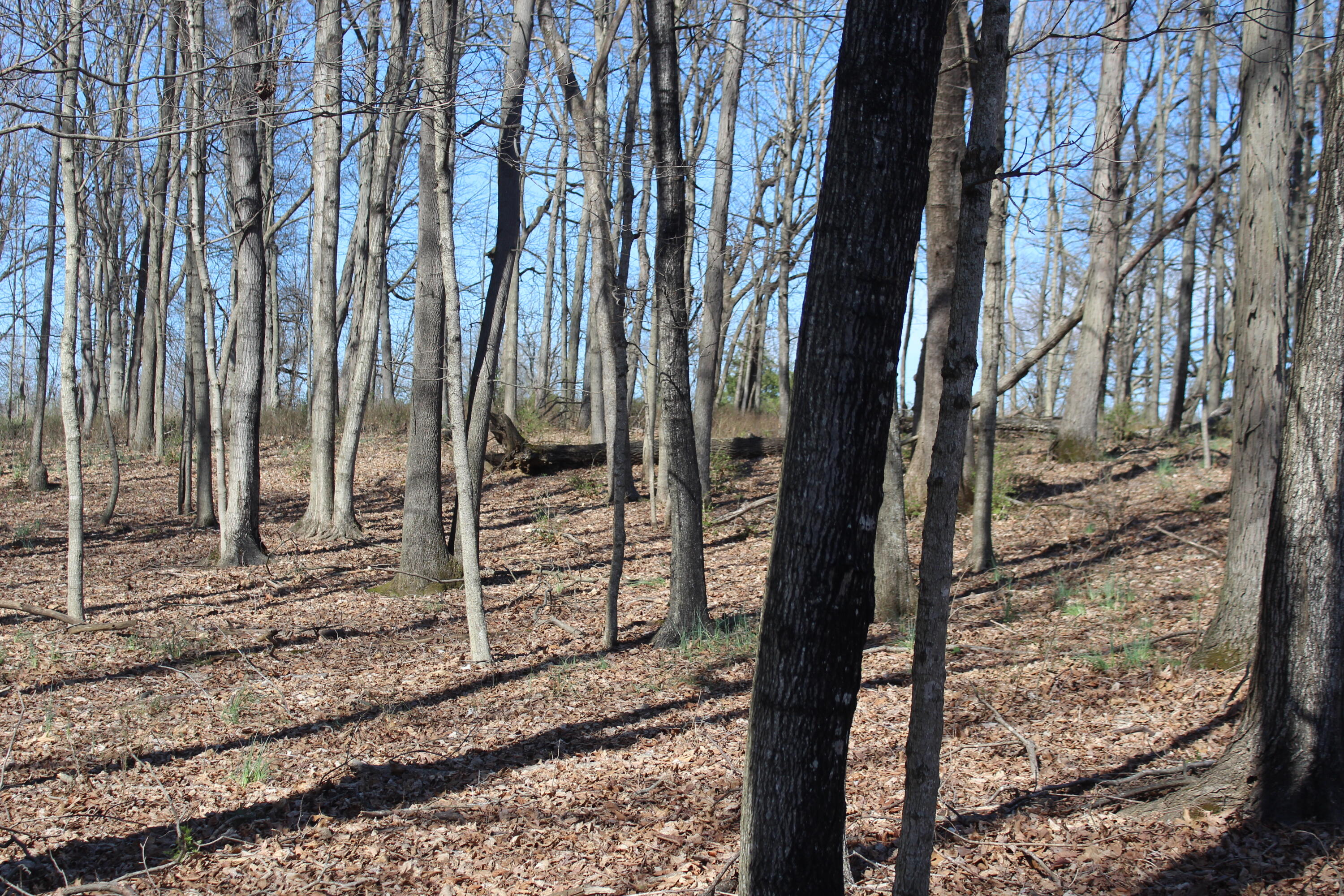1600 Poindexter Road Property Photo 8