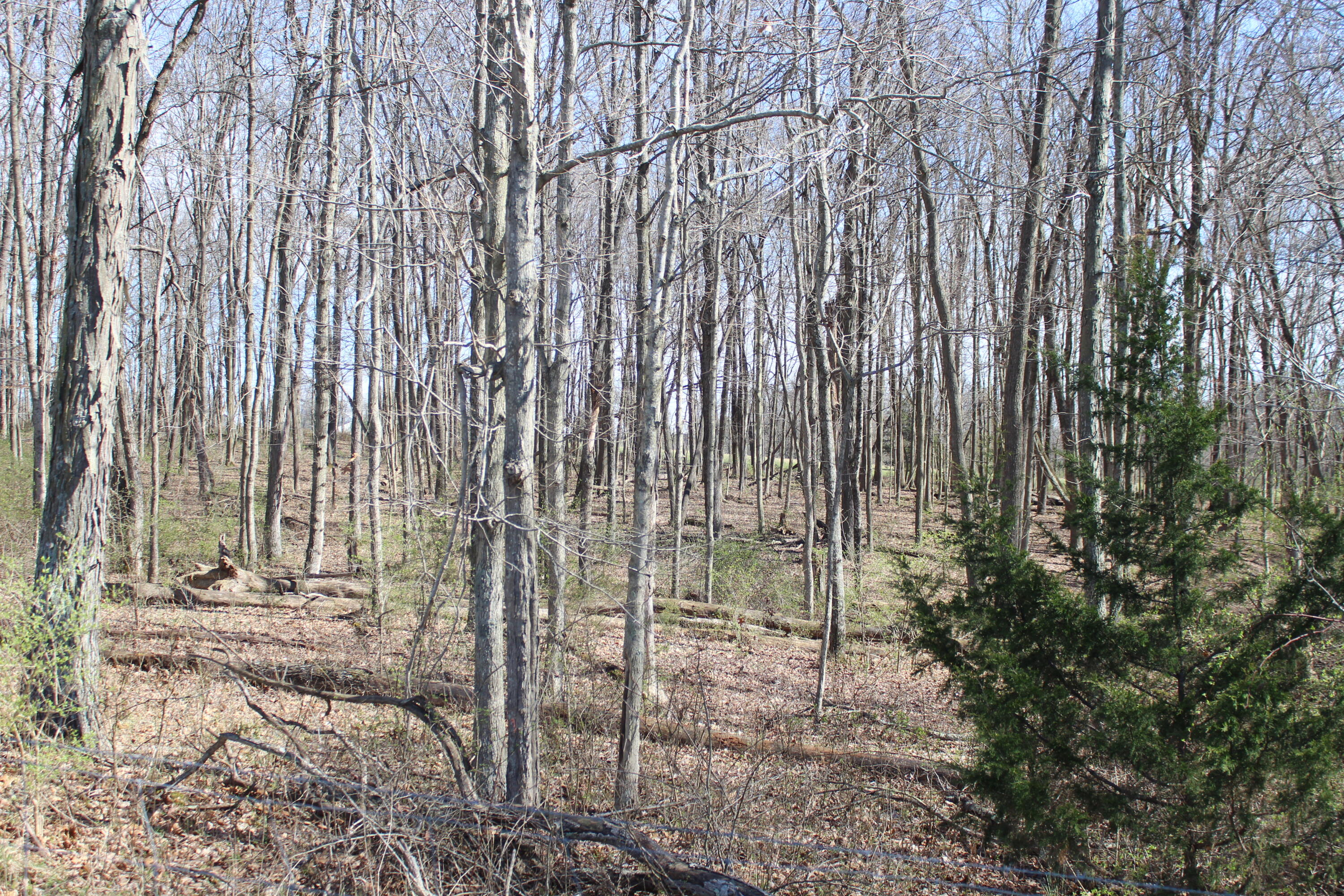 1480 Poindexter Road Property Photo 4