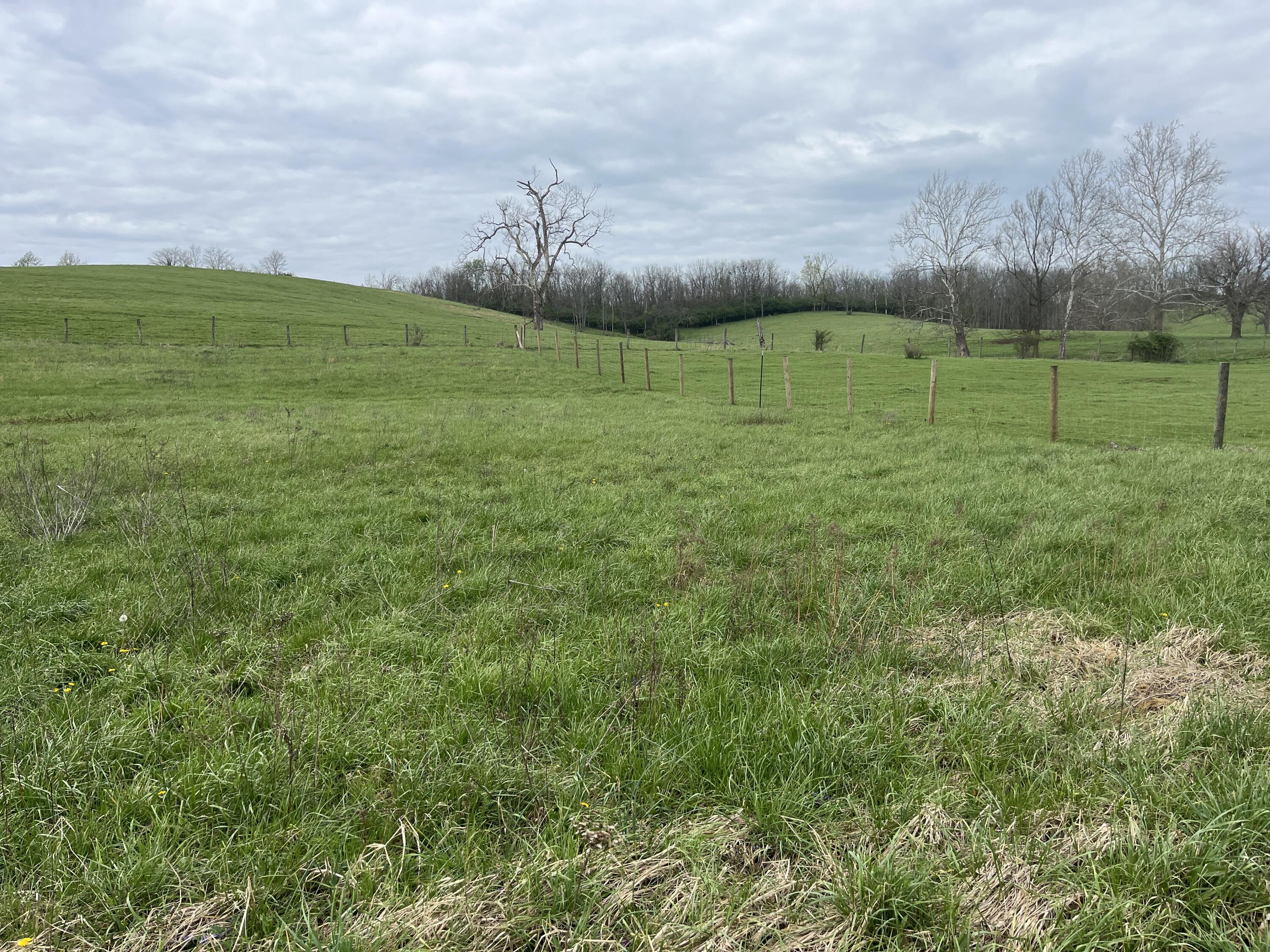 2996 Irvine Road Property Photo 13
