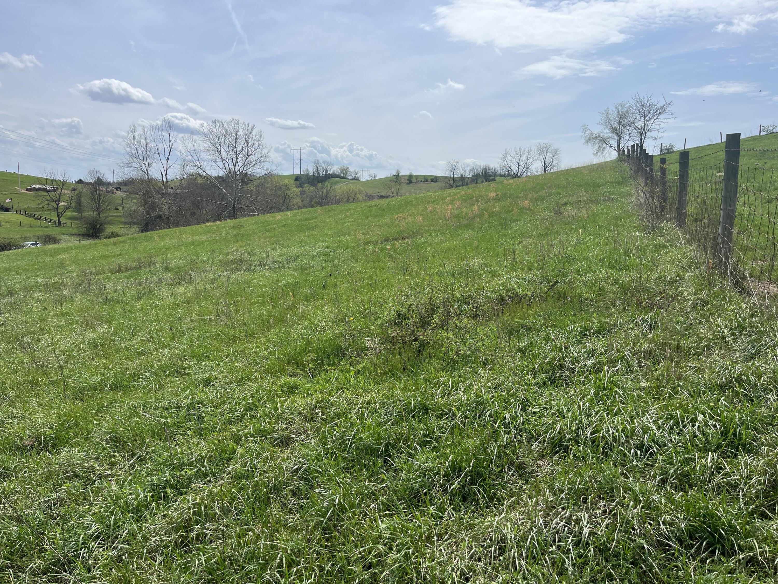 2996 Irvine Road Property Photo 14