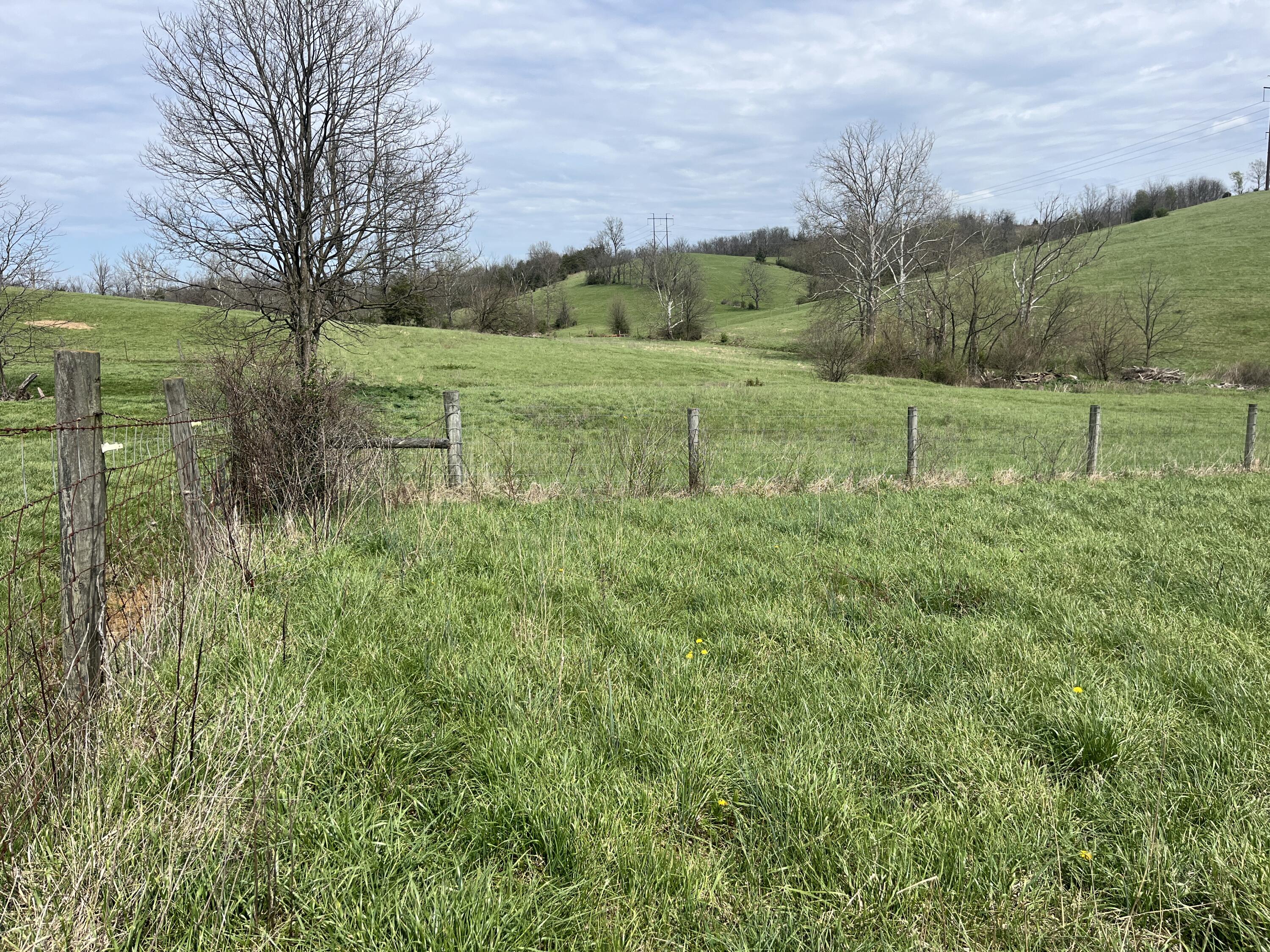 2996 Irvine Road Property Photo 15