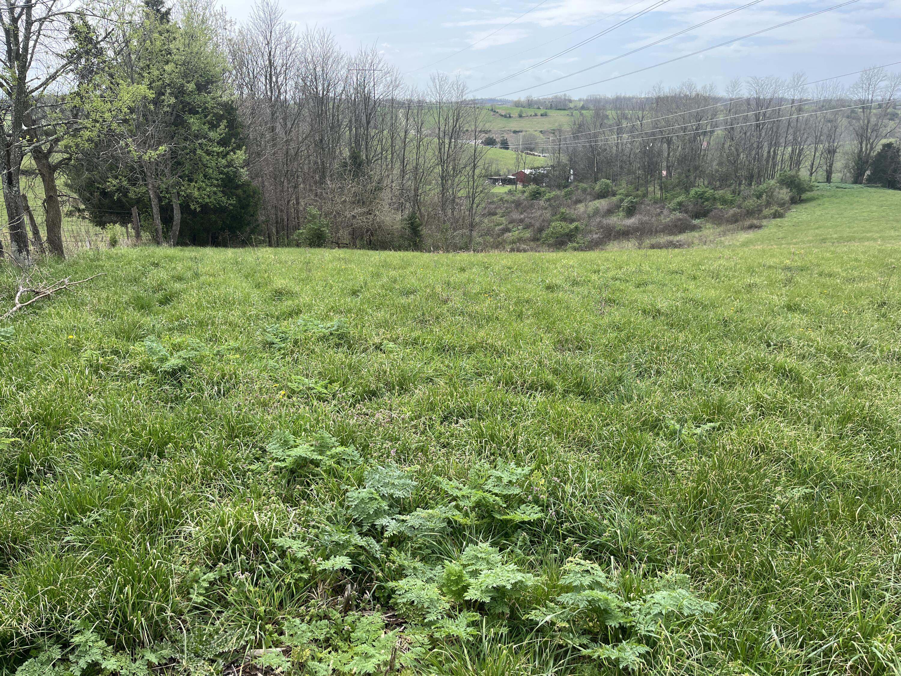 3056 Irvine Road Property Photo 18