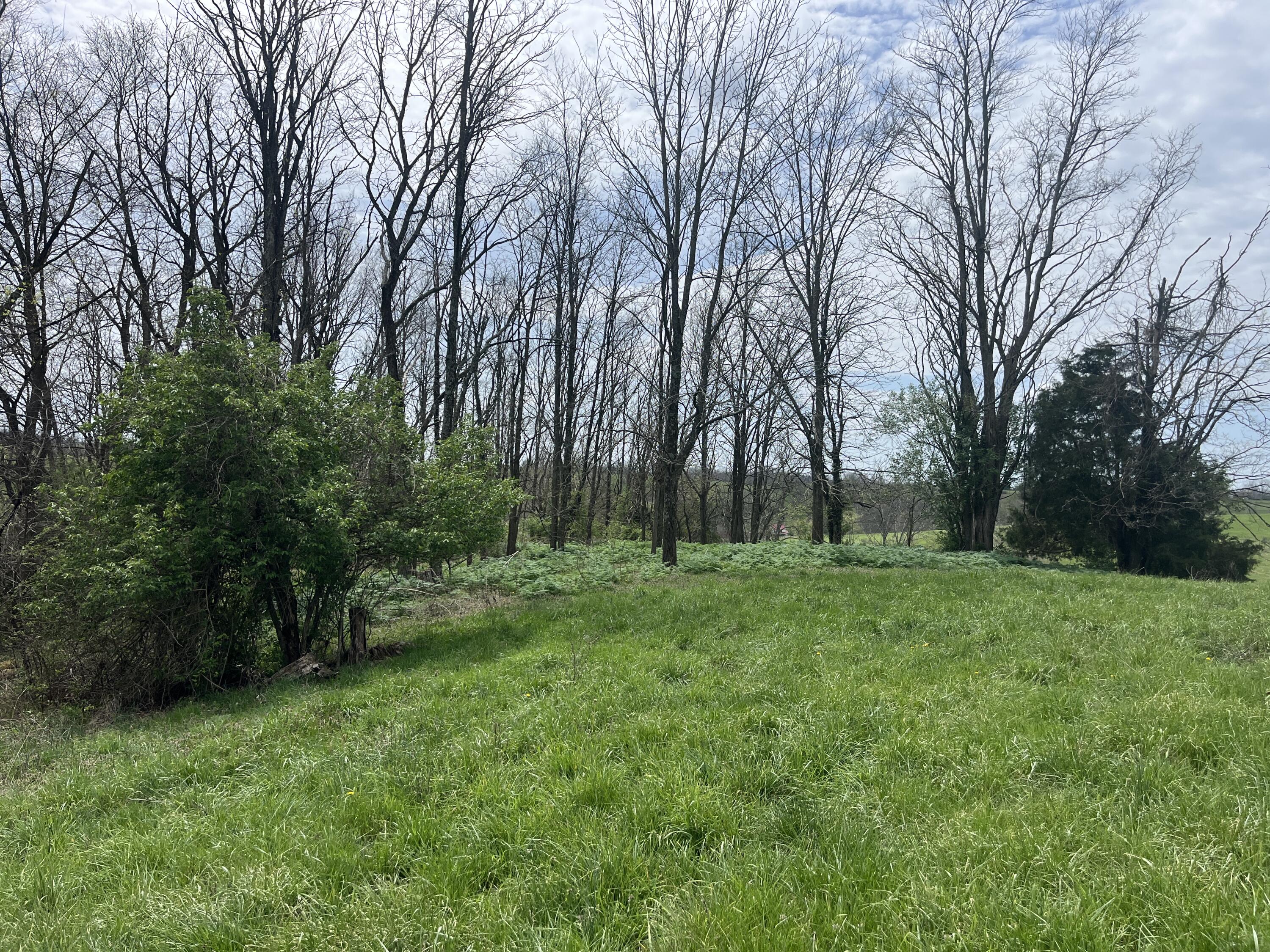 3056 Irvine Road Property Photo 19