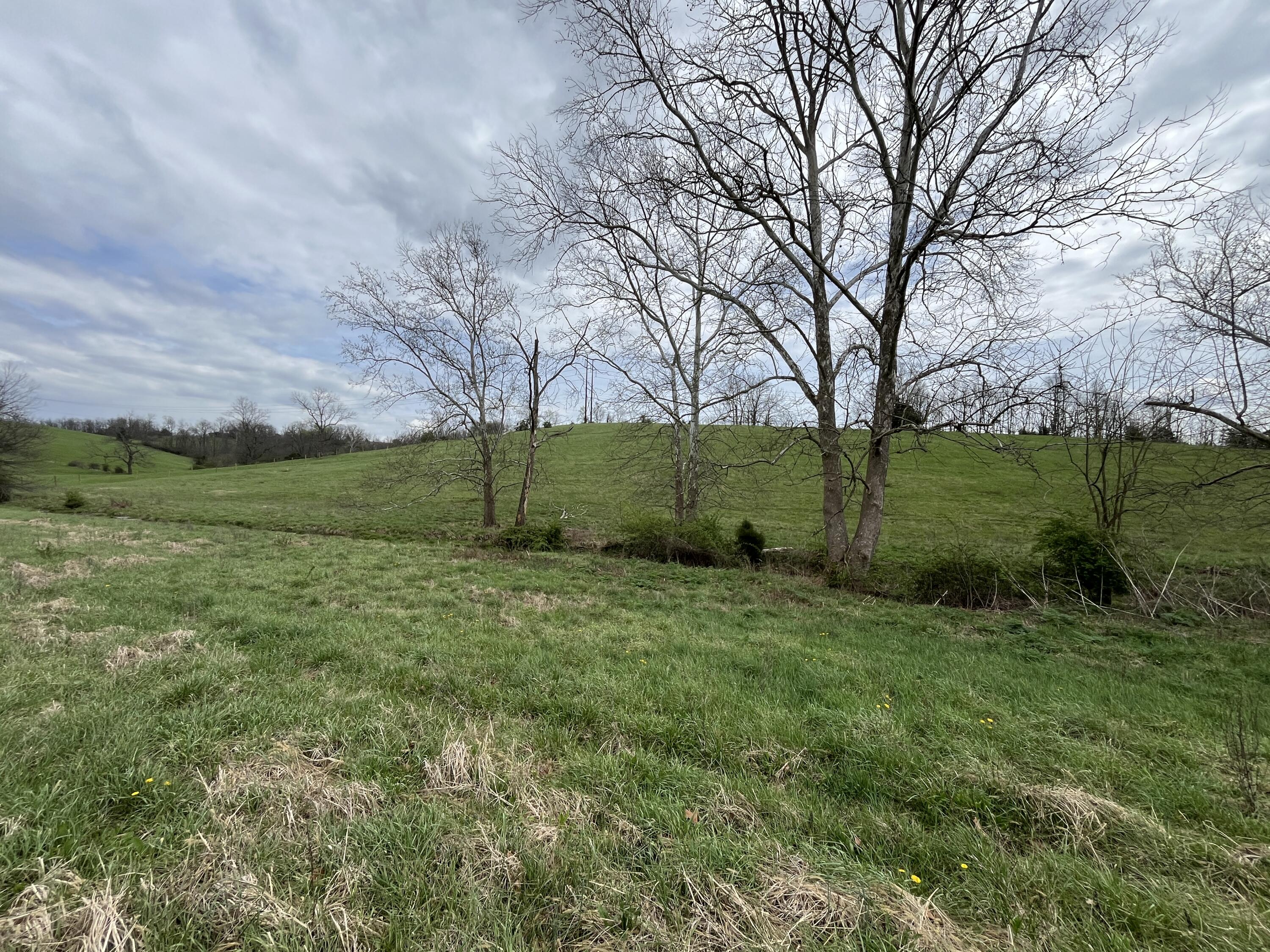 3056 Irvine Road Property Photo 20