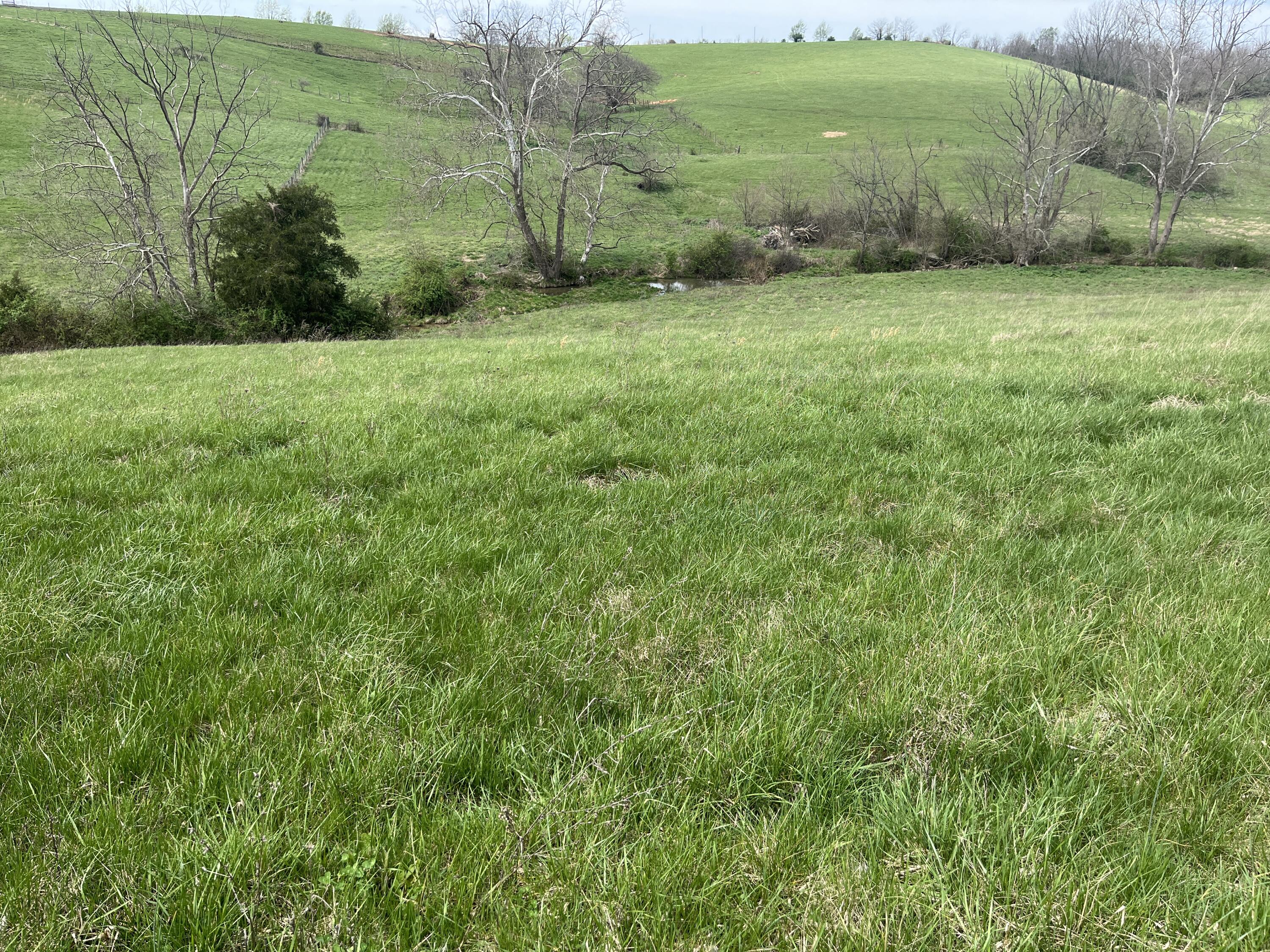 3056 Irvine Road Property Photo 22