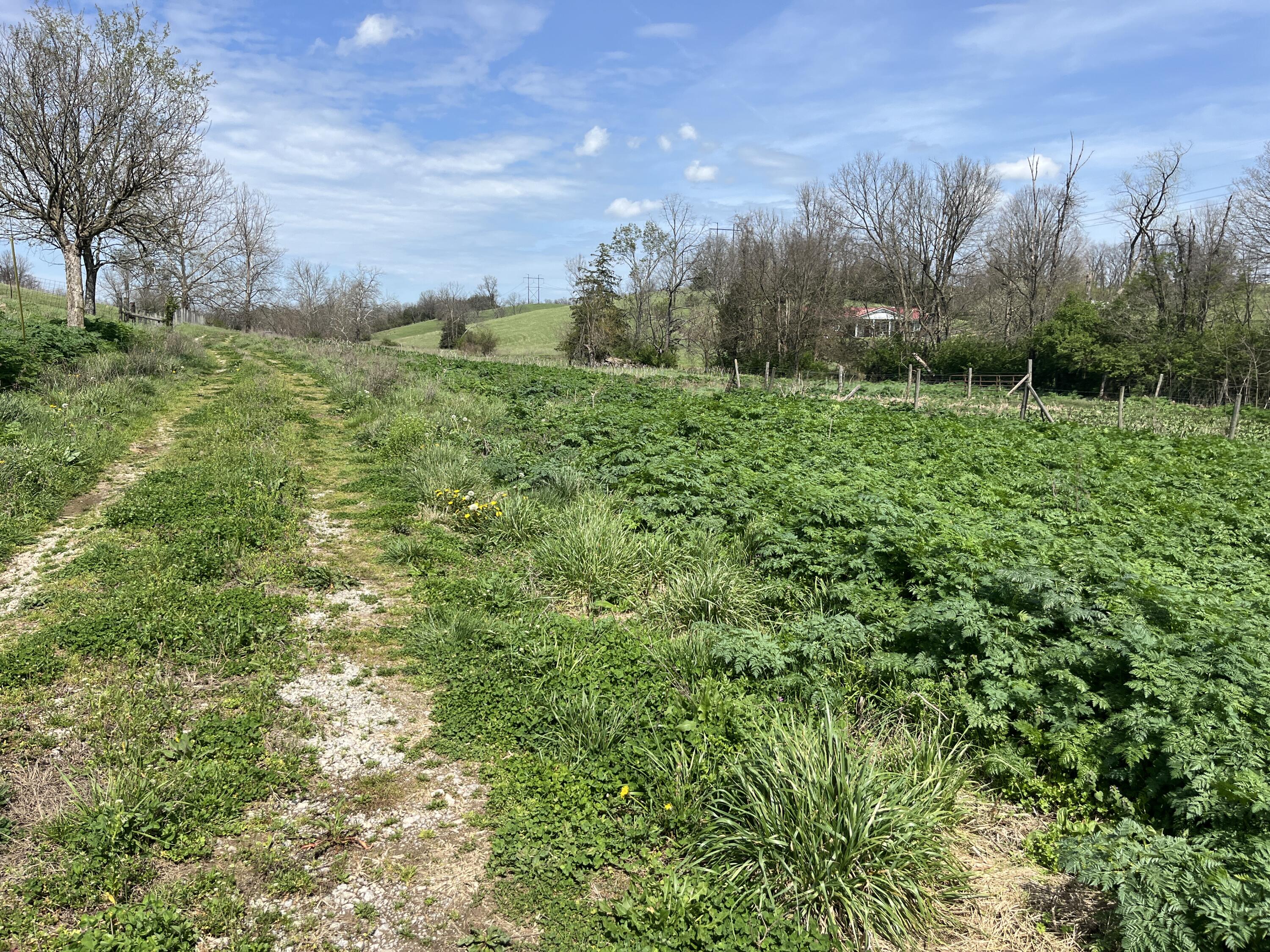 3056 Irvine Road Property Photo 23