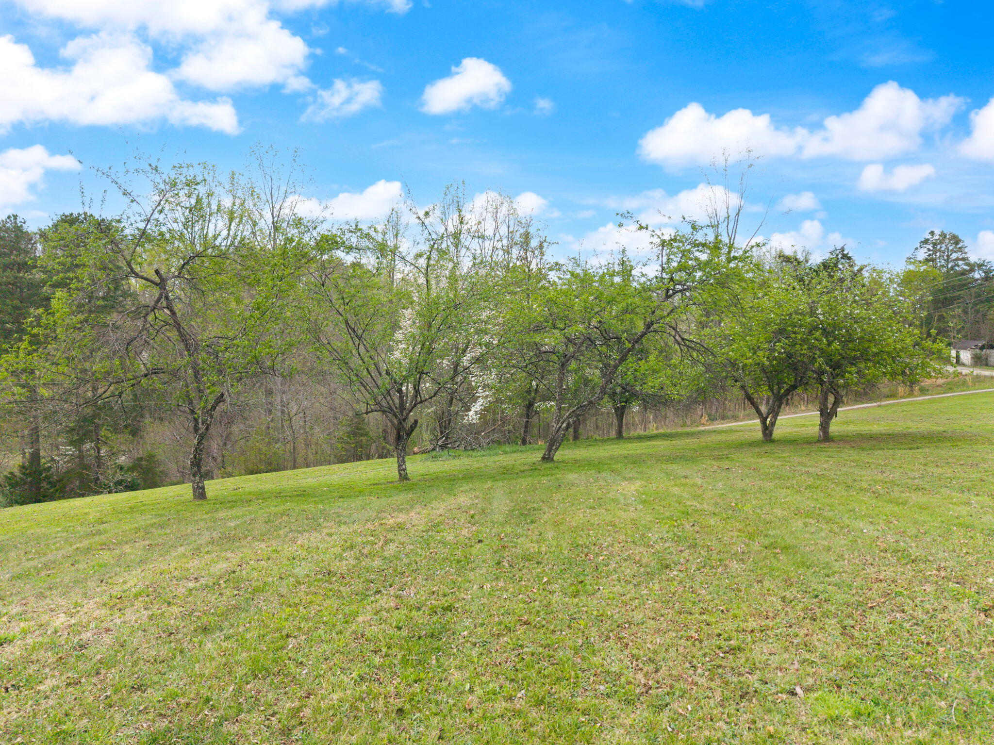 7800 Highway 1643 Property Photo 19