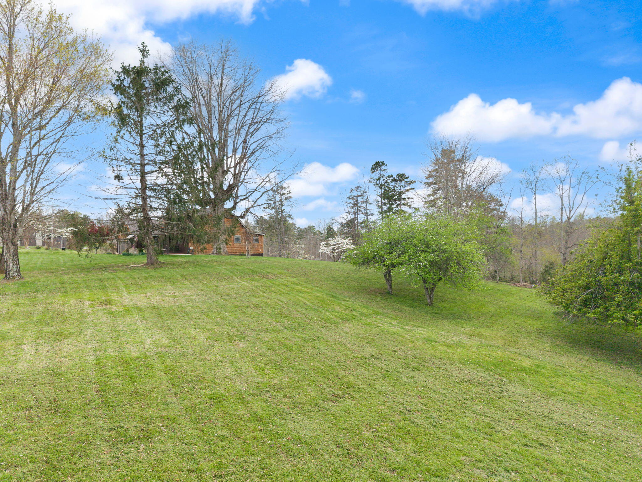 7800 Highway 1643 Property Photo 20