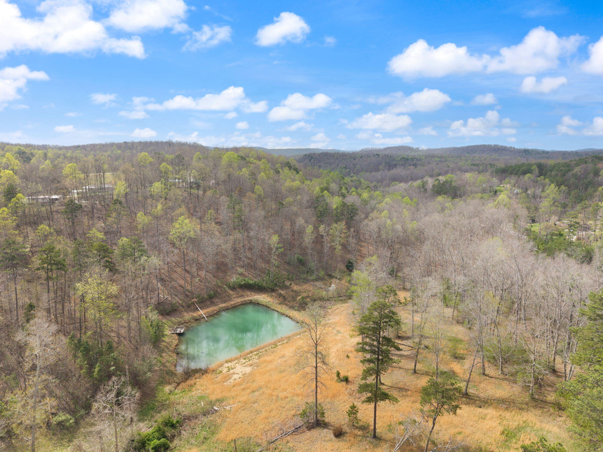 7800 Highway 1643 Property Photo 89