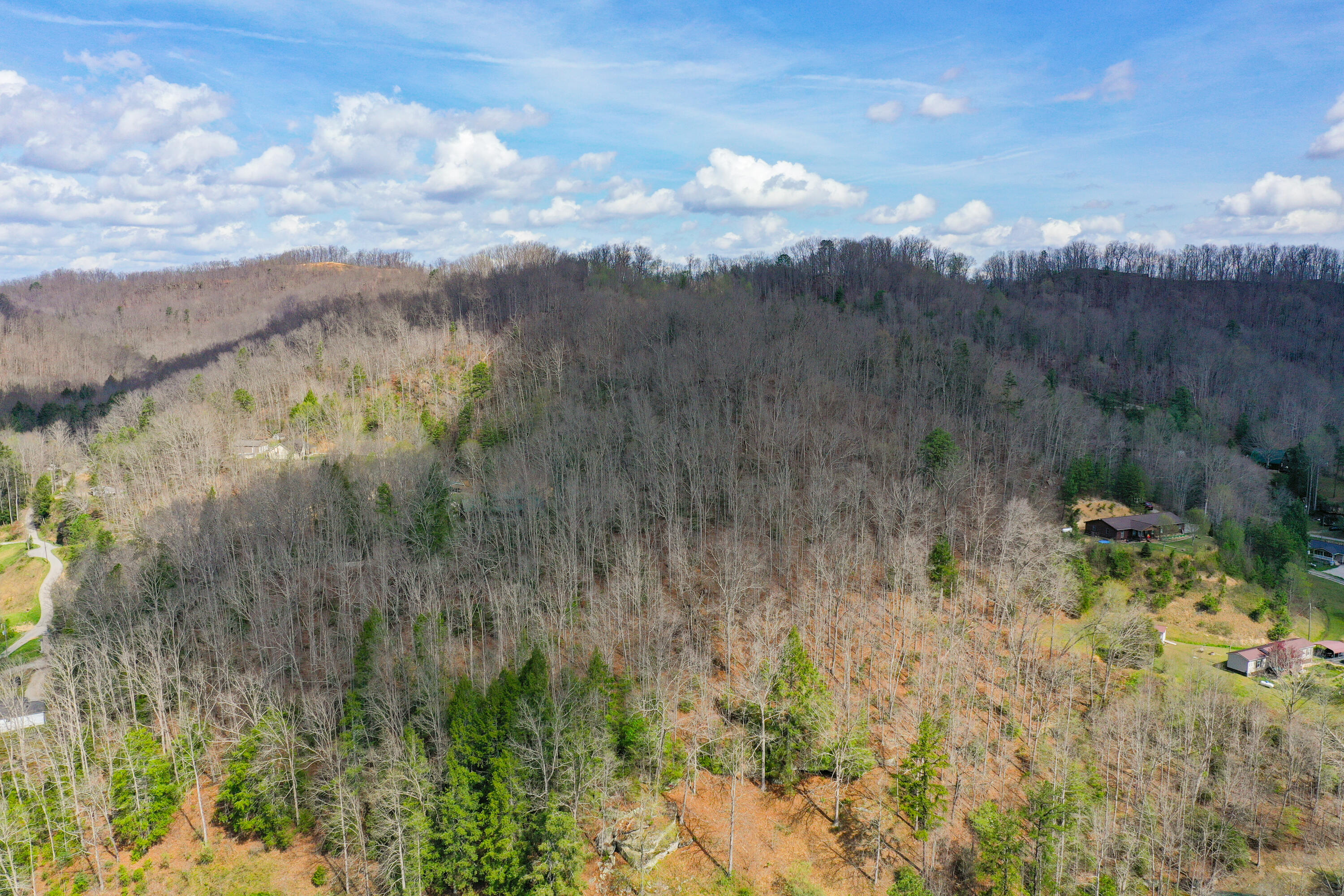 0000 Laurel Branch Road Property Photo 3