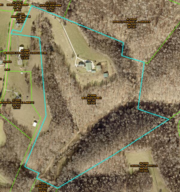 1461 Greasy Ridge Road Property Photo 3